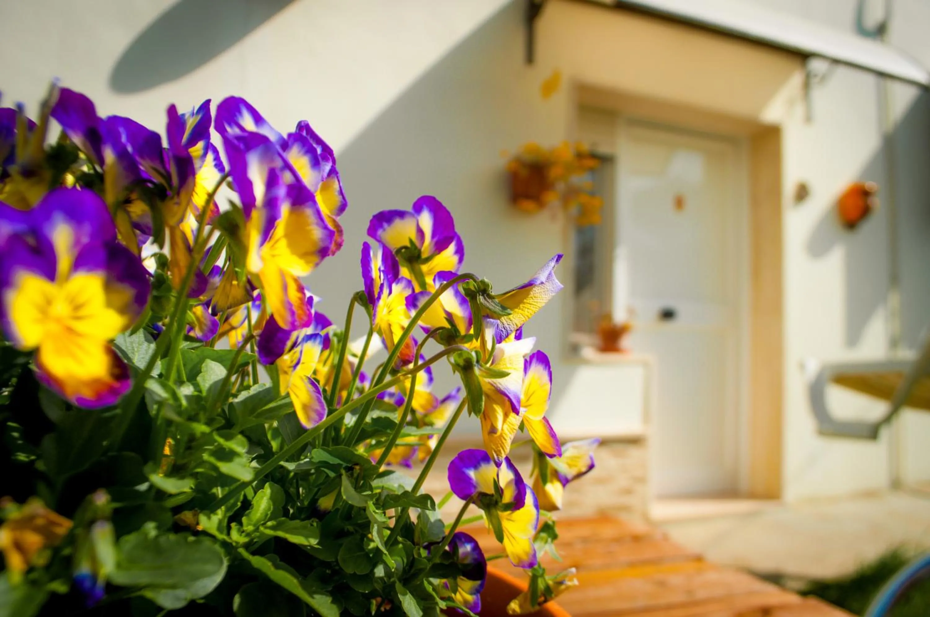 Summer in B&B Pietrafitta