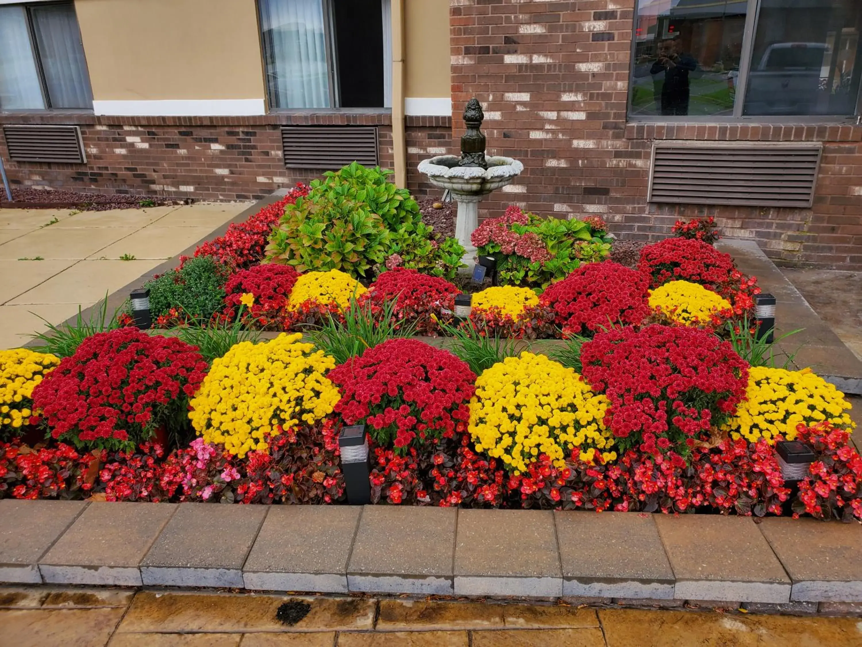 King Room - Non-Smoking in Super 8 by Wyndham Sterling Heights/Detroit Area King Room - Non-Smoking in Super 8 by Wyndham Sterling Heights/Detroit Area