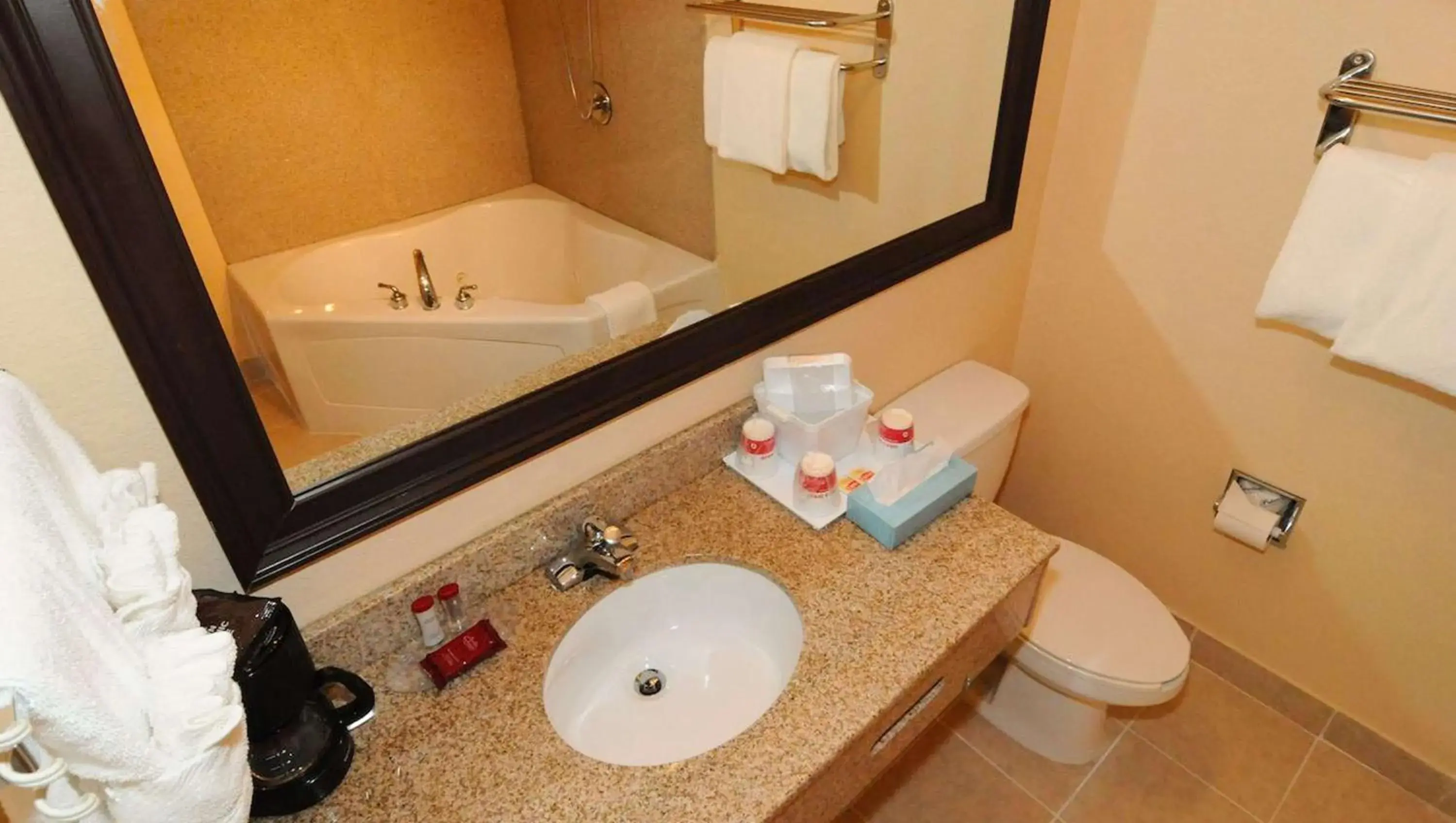 Bathroom in Magnuson Hotel & Marina New Port Richey