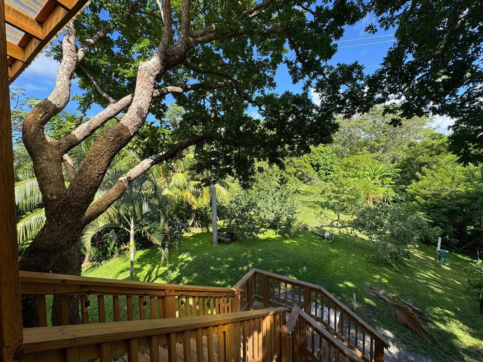 View (from property/room) in Guava Grove Resort & Villas