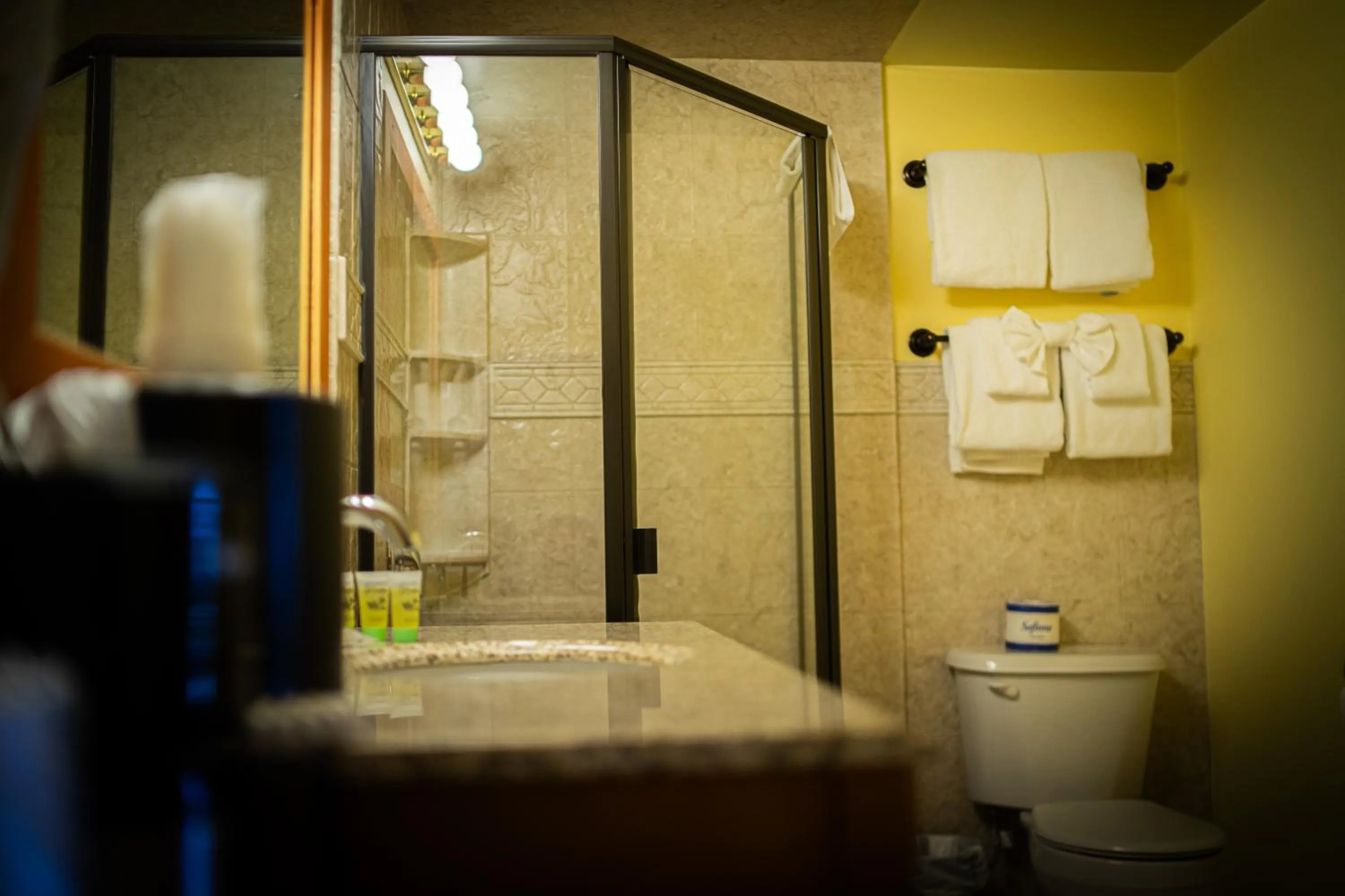 Shower in Yosemite Gateway Motel