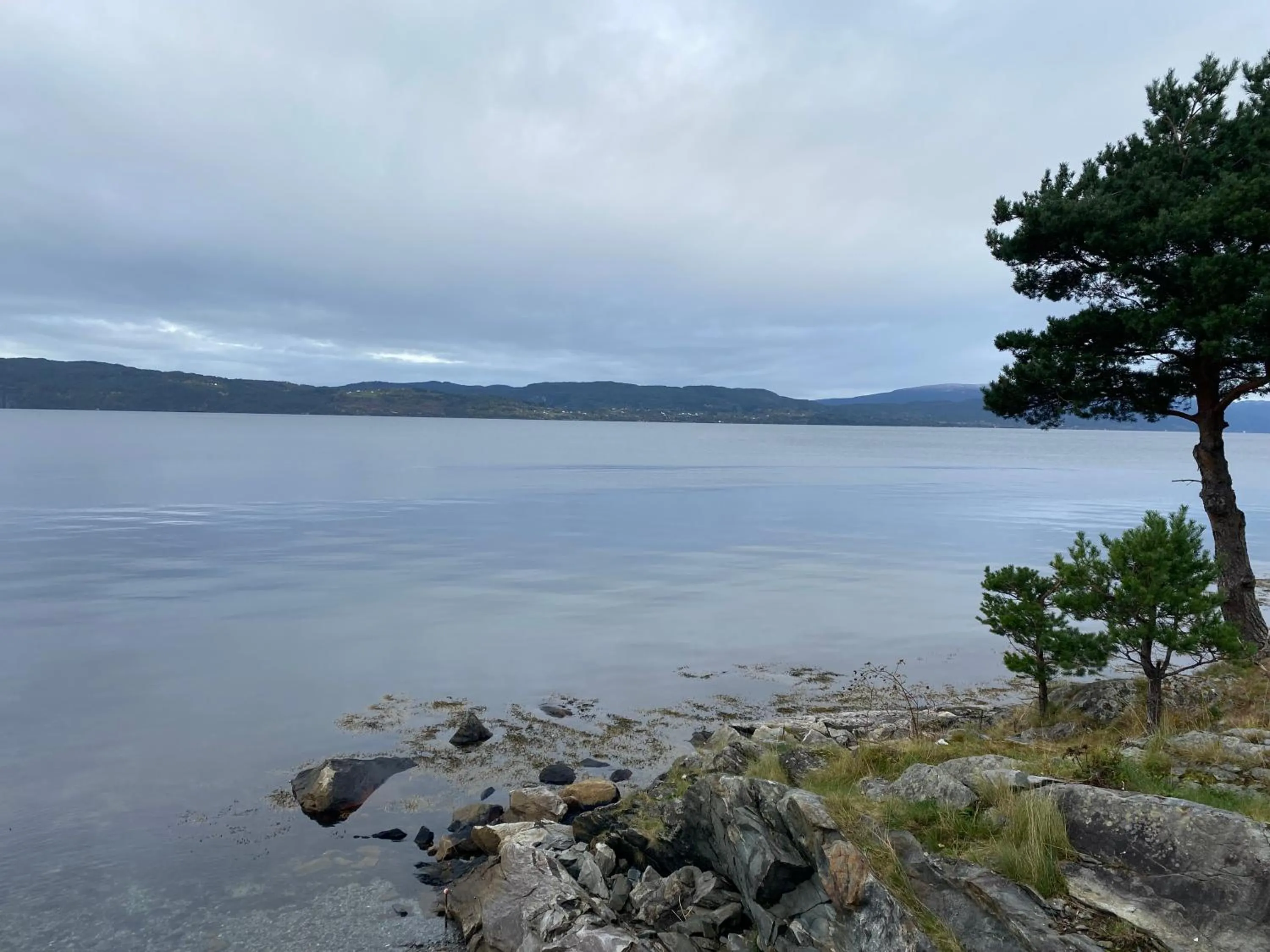 Natural landscape in Rosendal Hyttetun