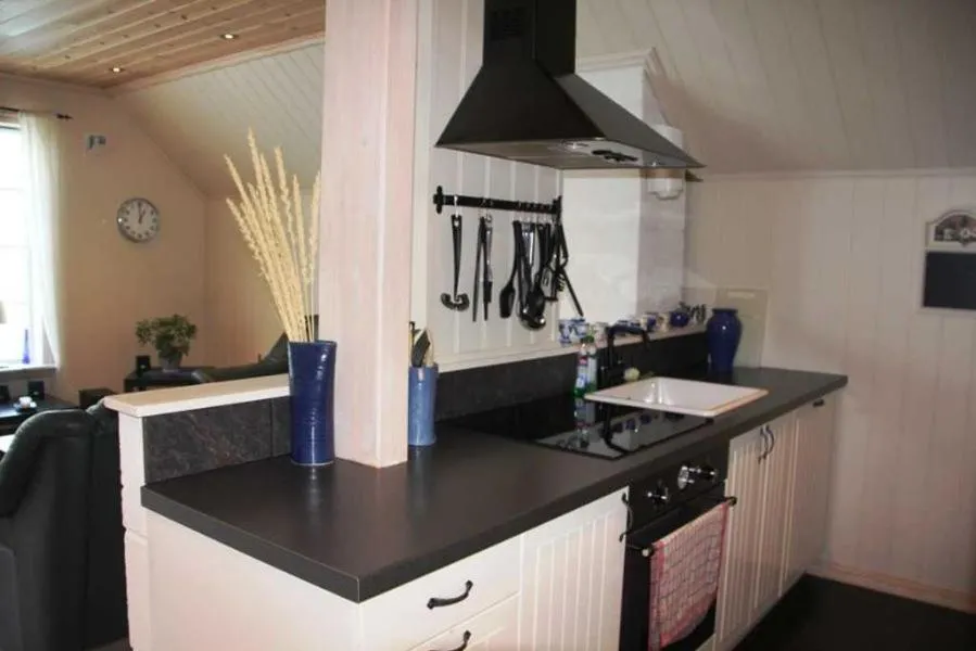 TV and multimedia in Rosendal Hyttetun