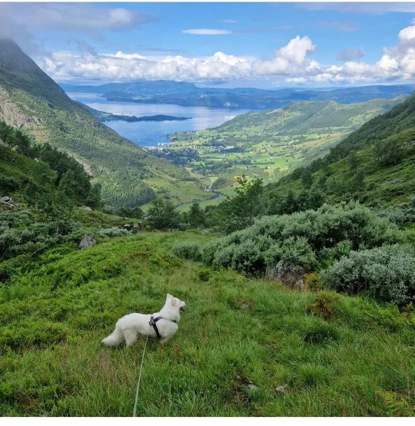 Natural landscape in Rosendal Hyttetun