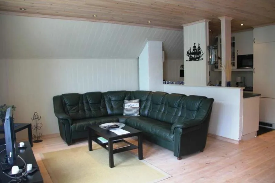 TV and multimedia in Rosendal Hyttetun
