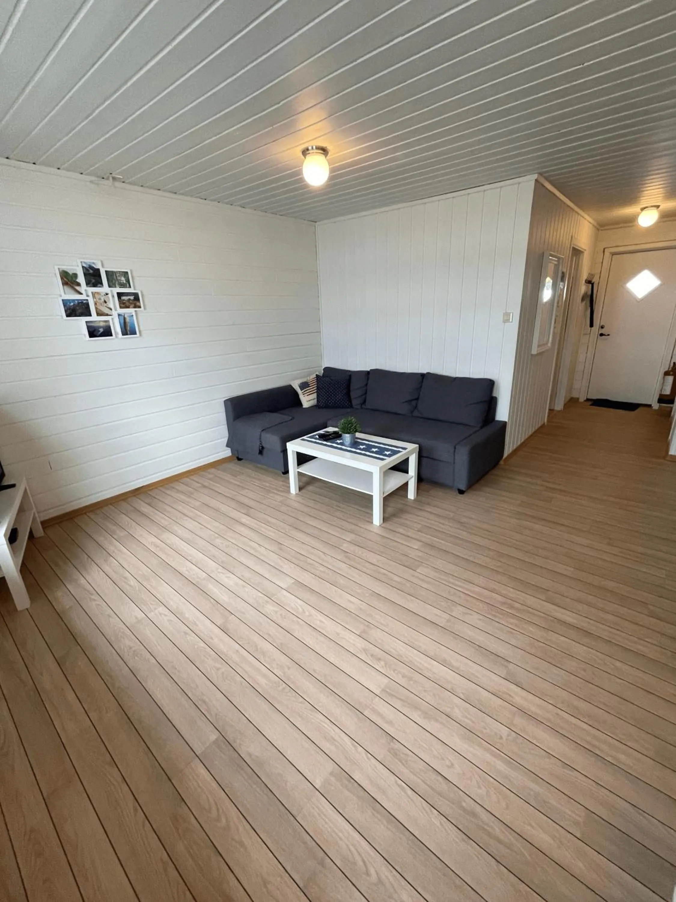 TV and multimedia in Rosendal Hyttetun
