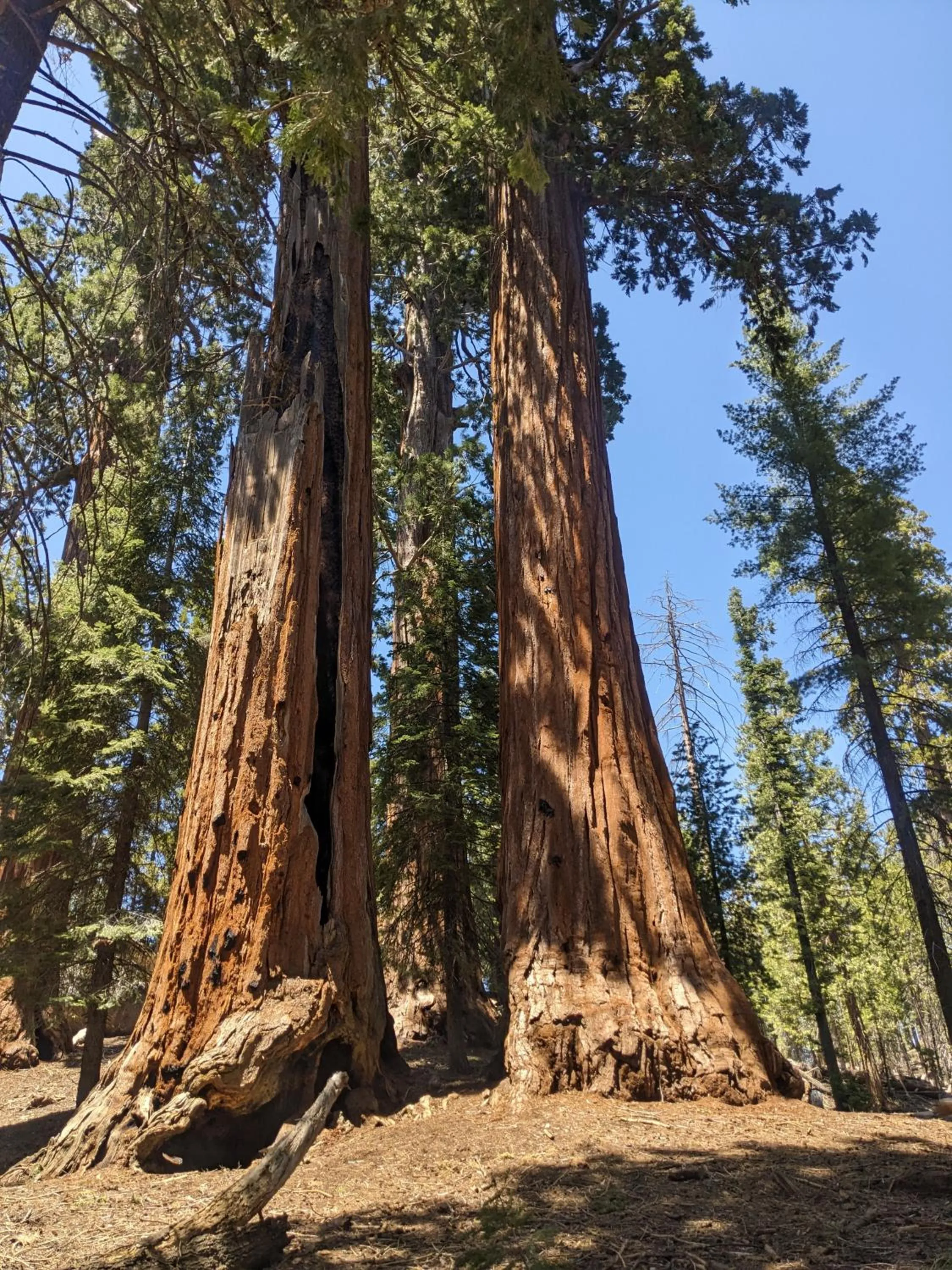 Nearby landmark in The Parks Inn