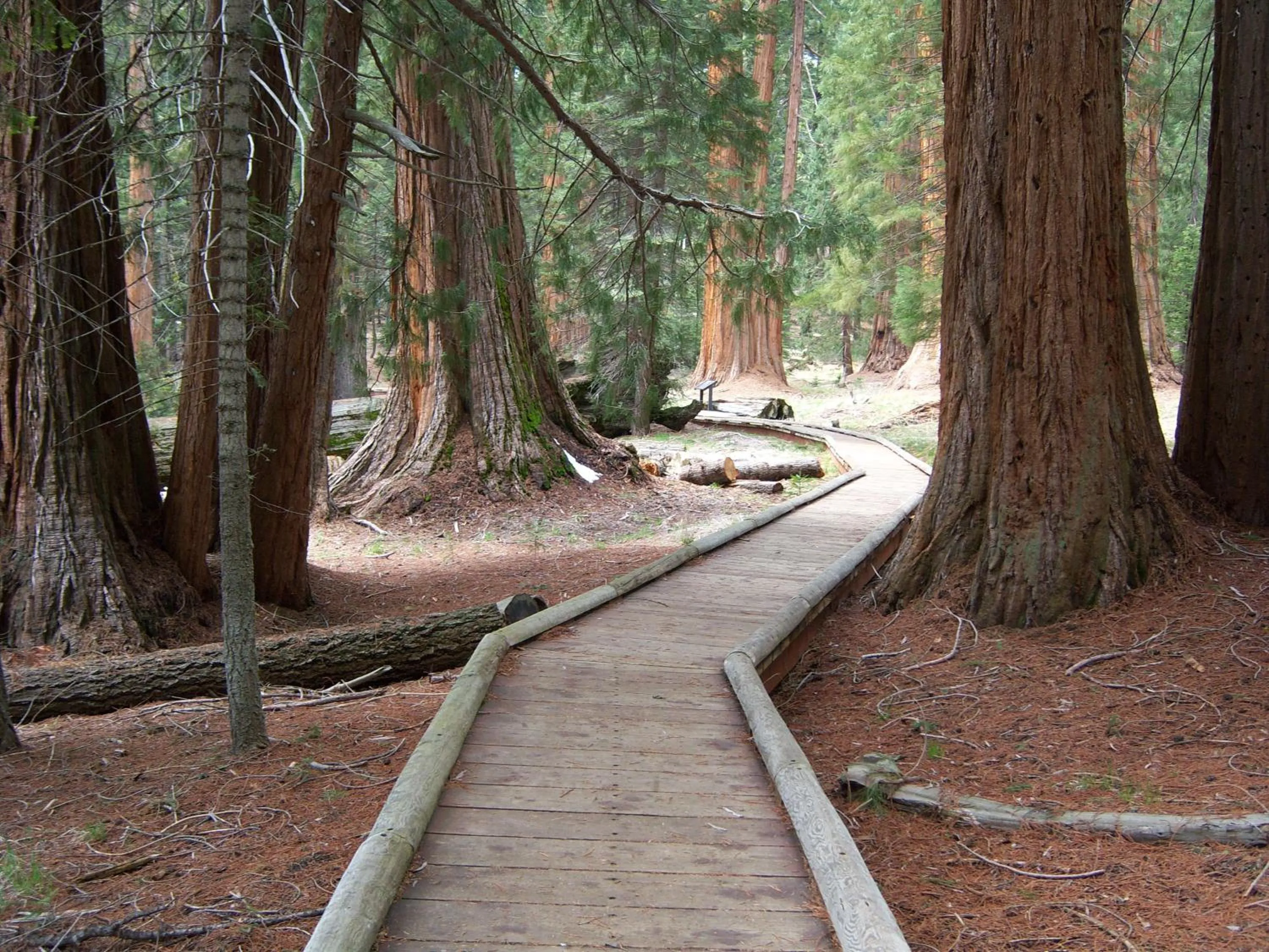 Hiking in The Parks Inn