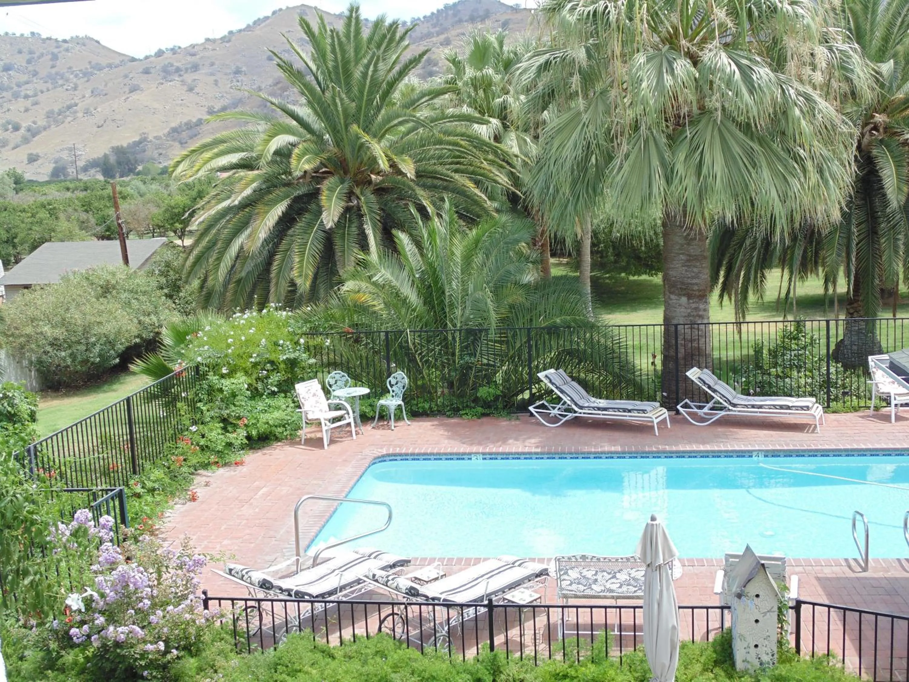 Swimming pool in The Parks Inn