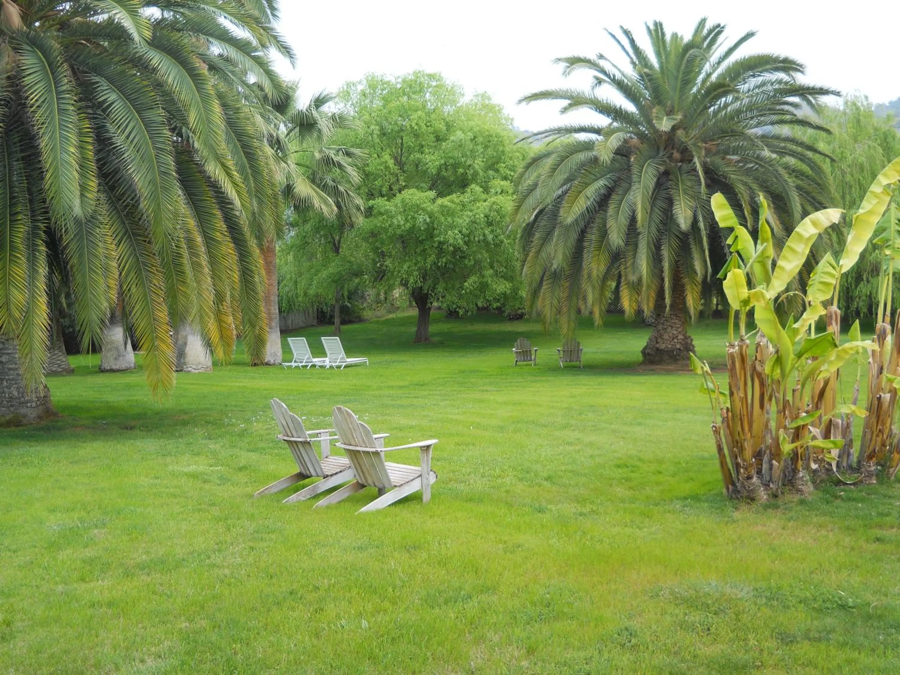 Garden in The Parks Inn