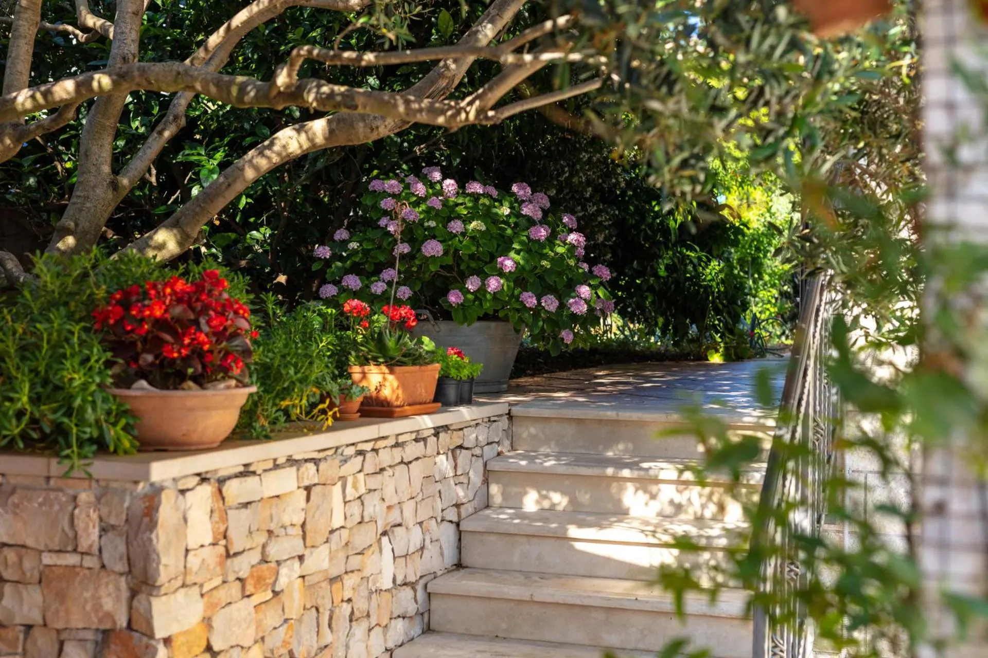 Patio in Holiday Home Lukrecia, for 9, private pool, free parking, 450 m from the beach
