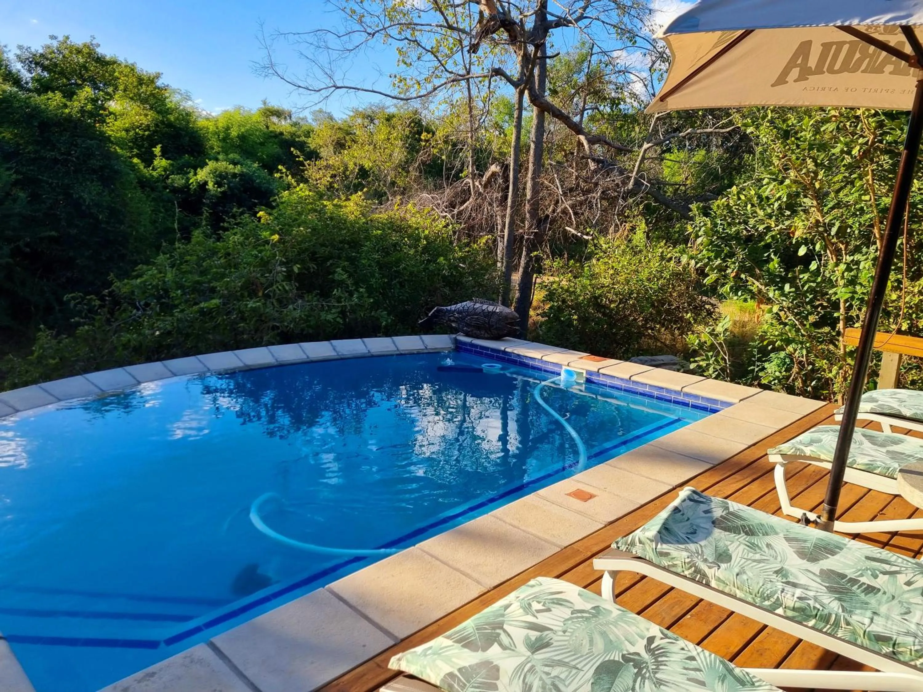 Swimming pool in Kingfisher Creek Safari Cottages