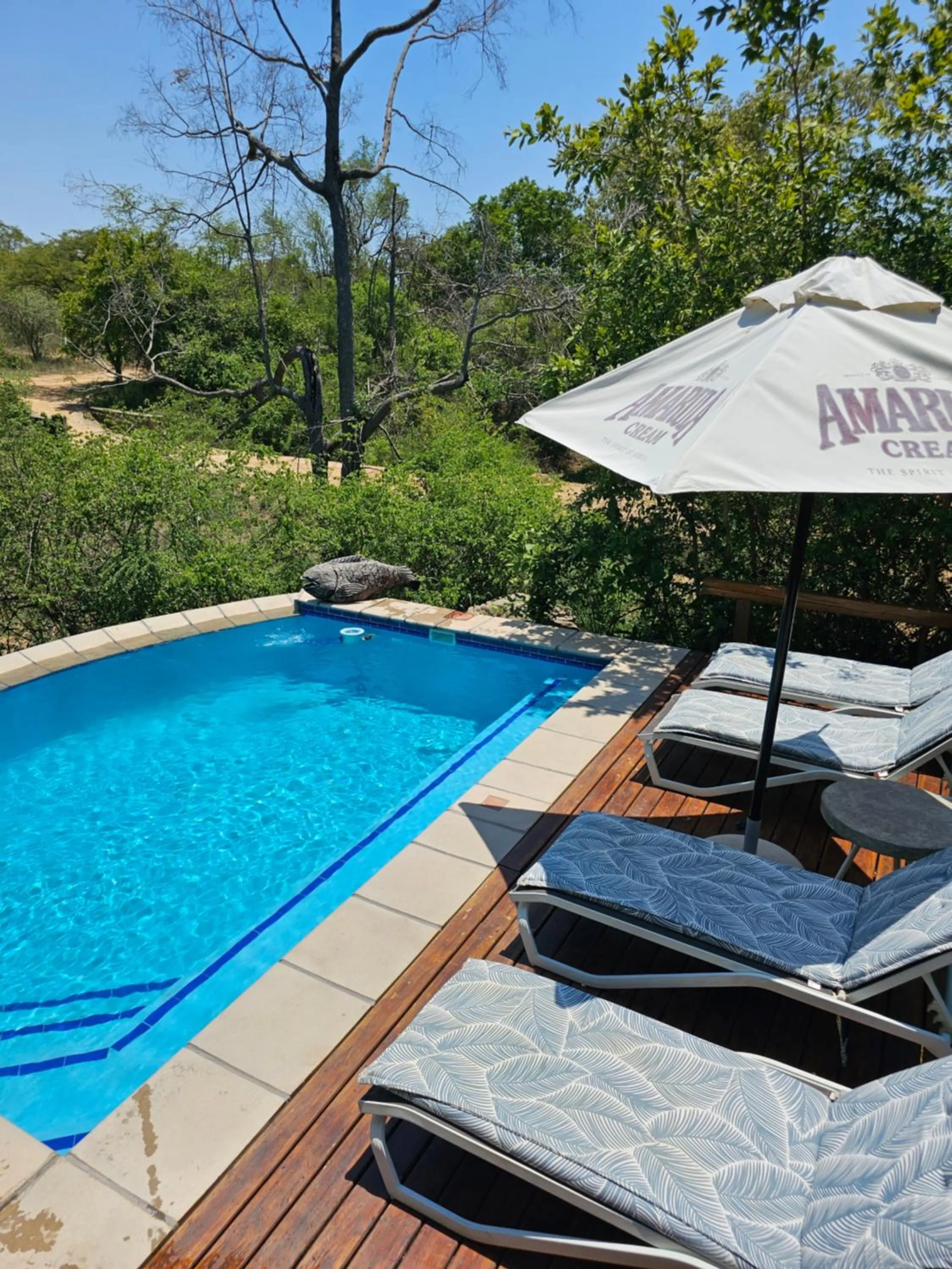 Swimming pool in Kingfisher Creek Safari Cottages