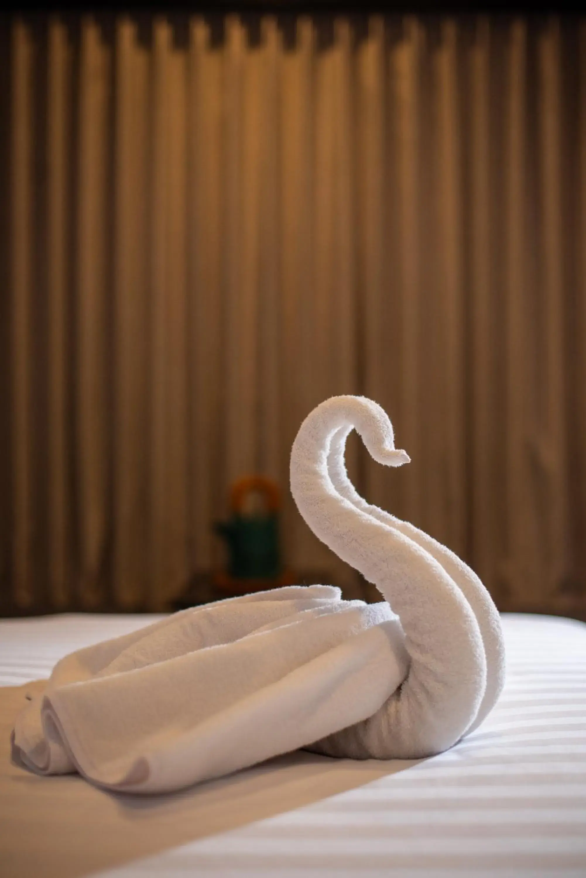 towels, Bed in Aralea Coliving towels, Bed in Aralea Coliving