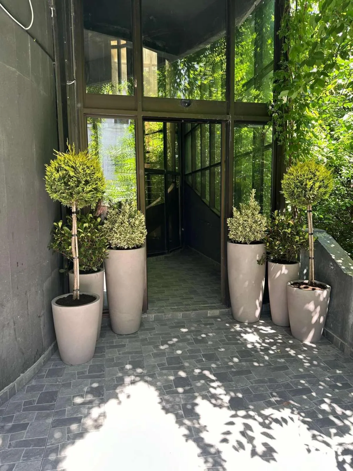Avangarda Suites