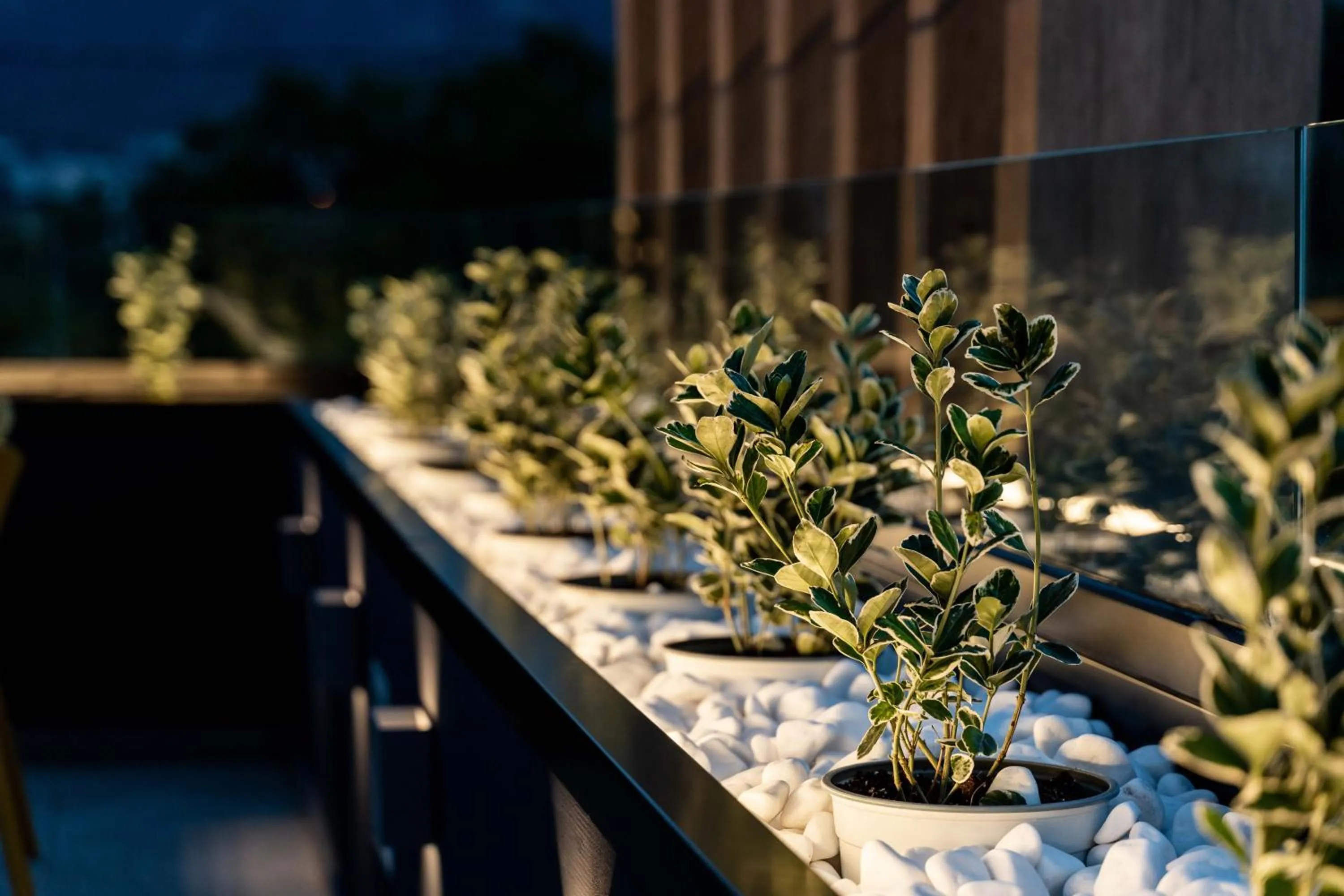 Garden in Mirabilis Boutique Hotel by Panel Hospitality