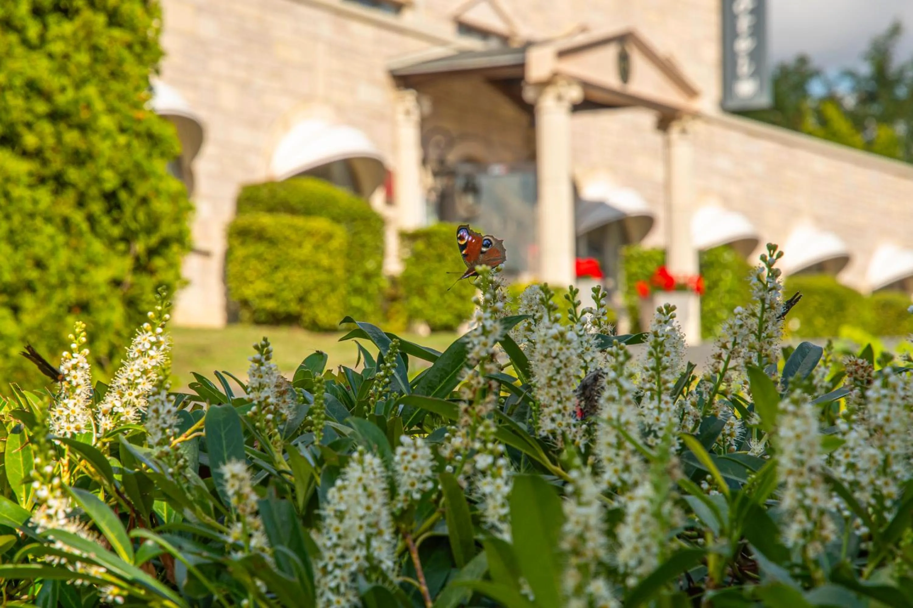 Property building in Le Royal Picardie