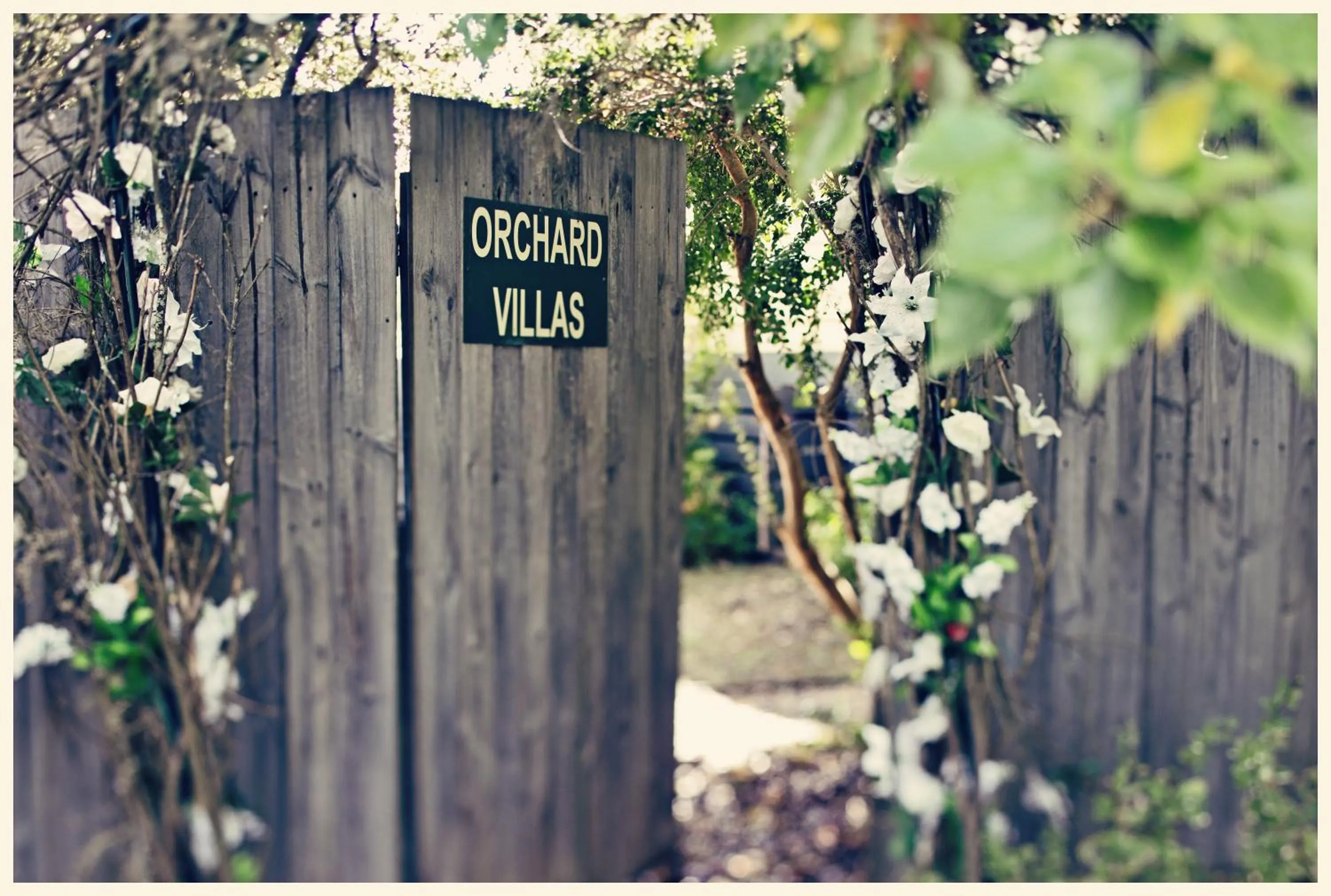 Area and facilities in Lake Orchard Villas