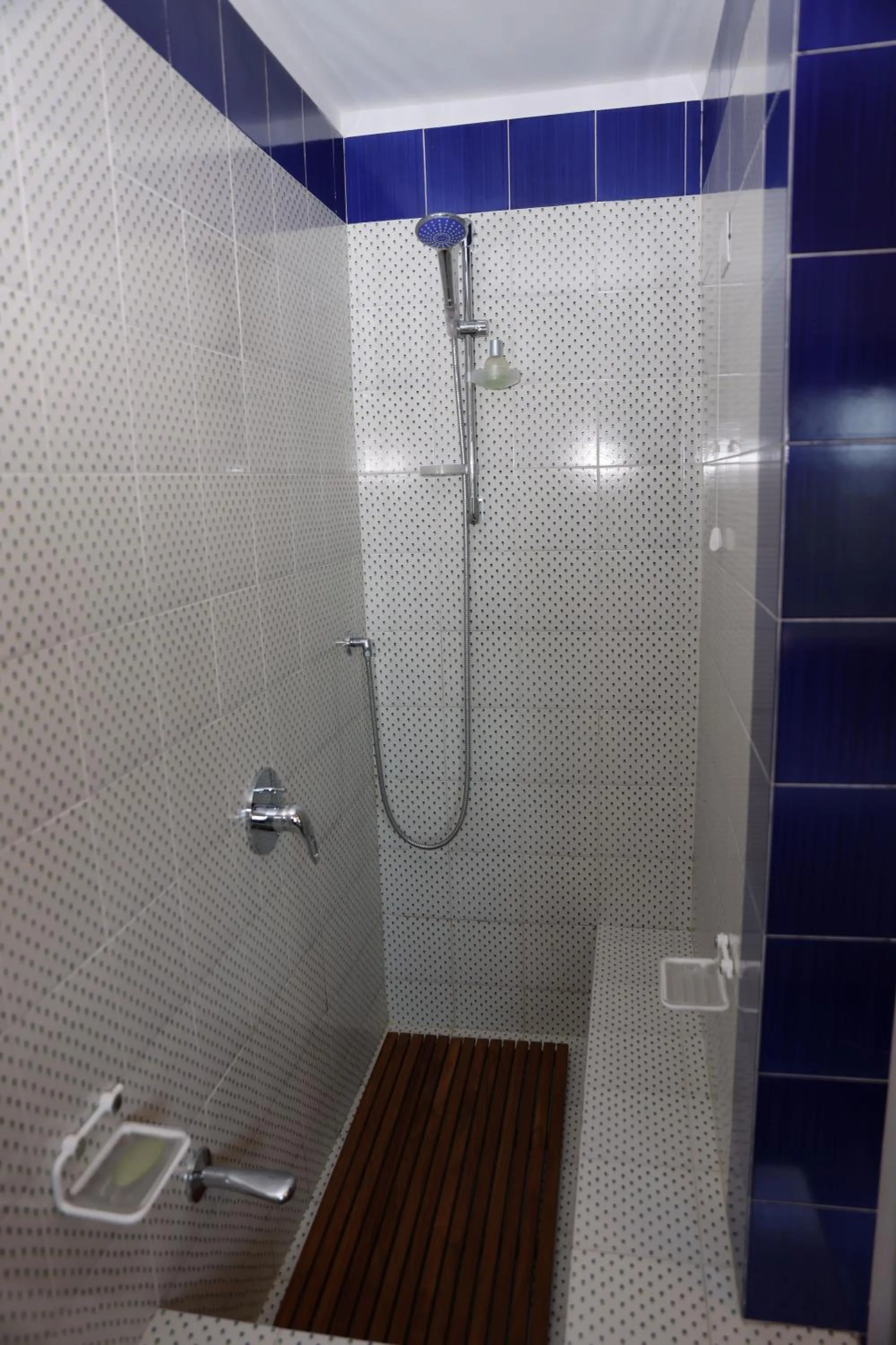 Shower in Bed and Berli