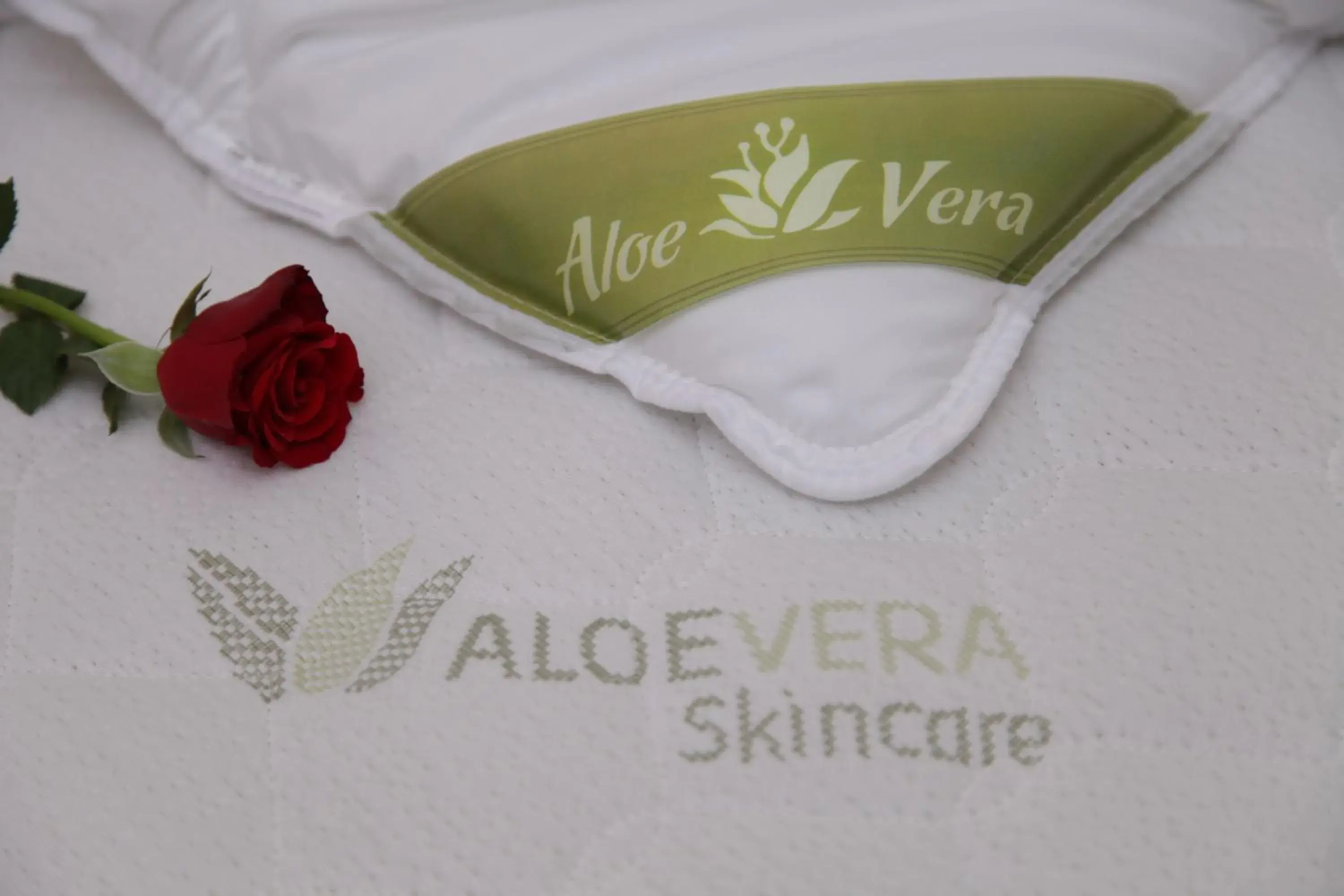 Twin Room in Primus Hotel & Apartments Twin Room in Primus Hotel & Apartments