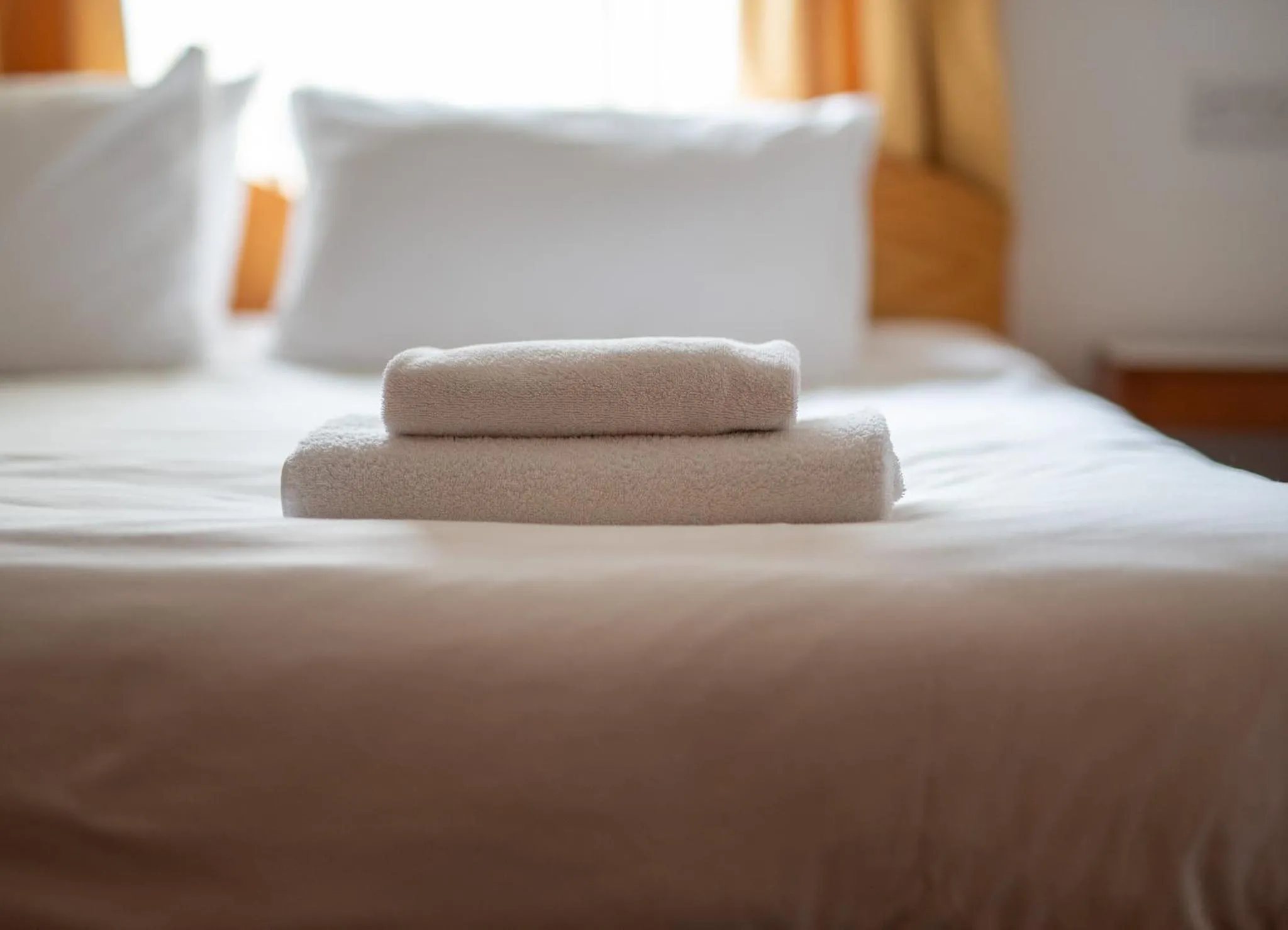 Twin Room - single occupancy in Insh Hall Rooms at Loch Insh