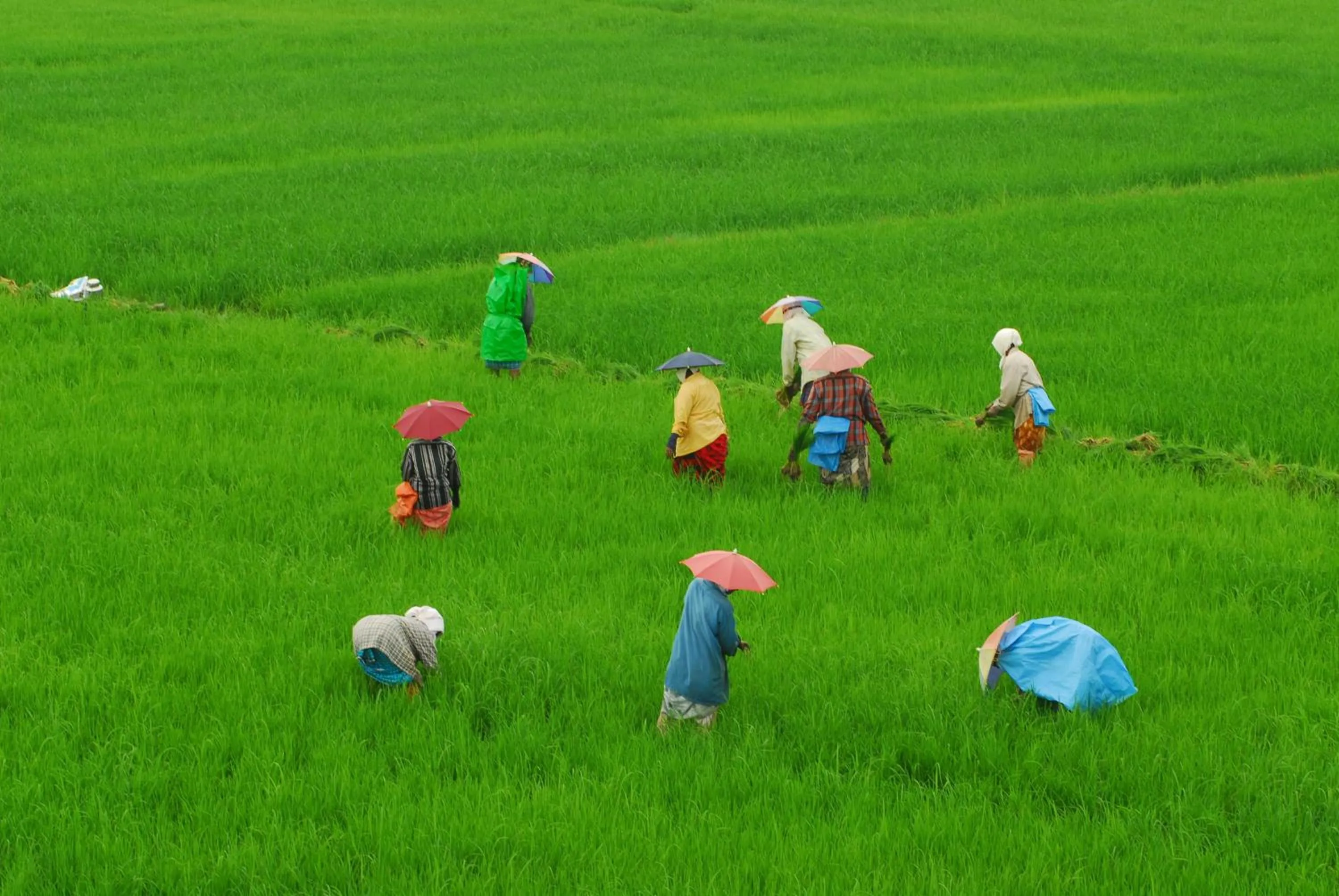 Other in Raheem Residency