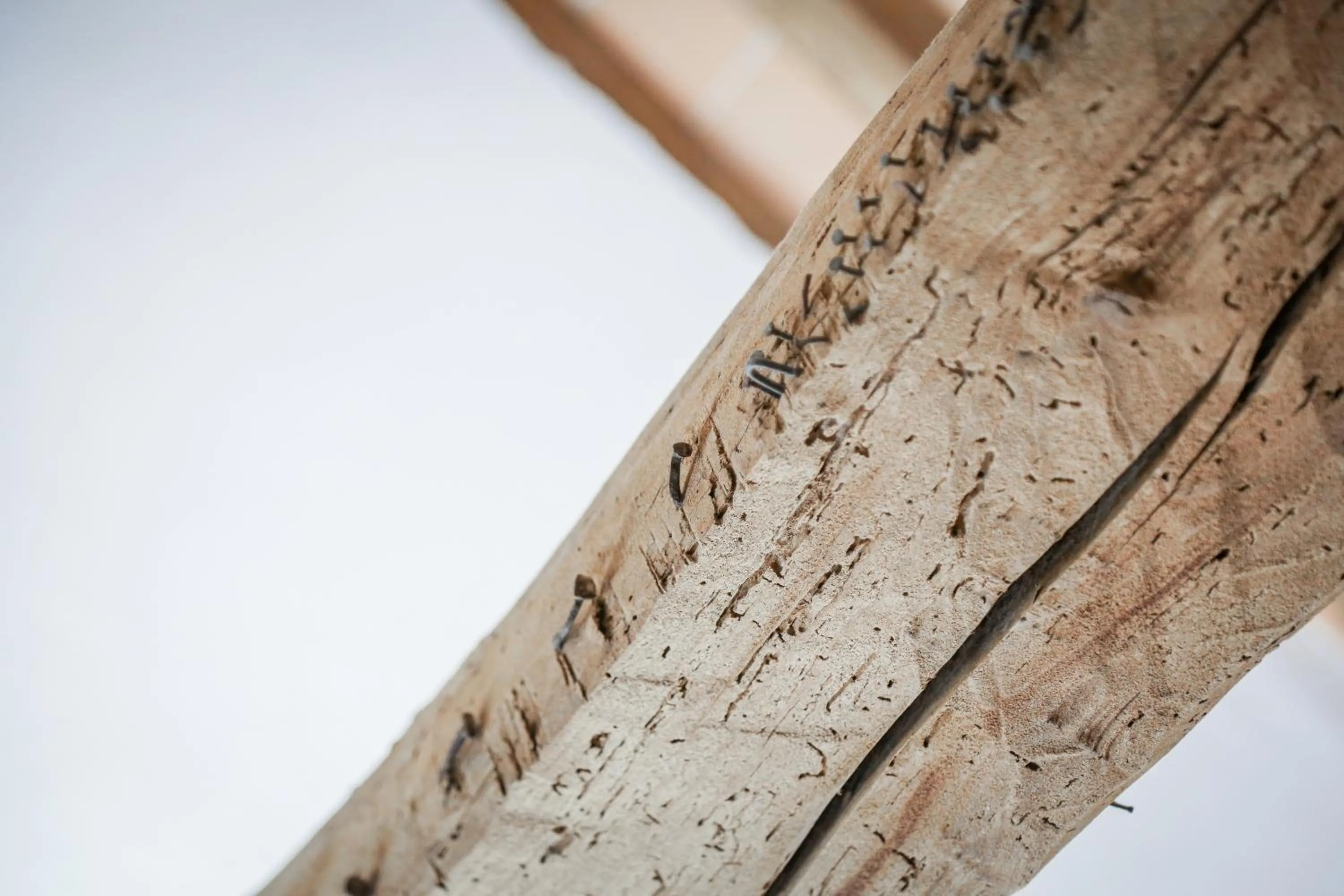 MontepulcianoLettings