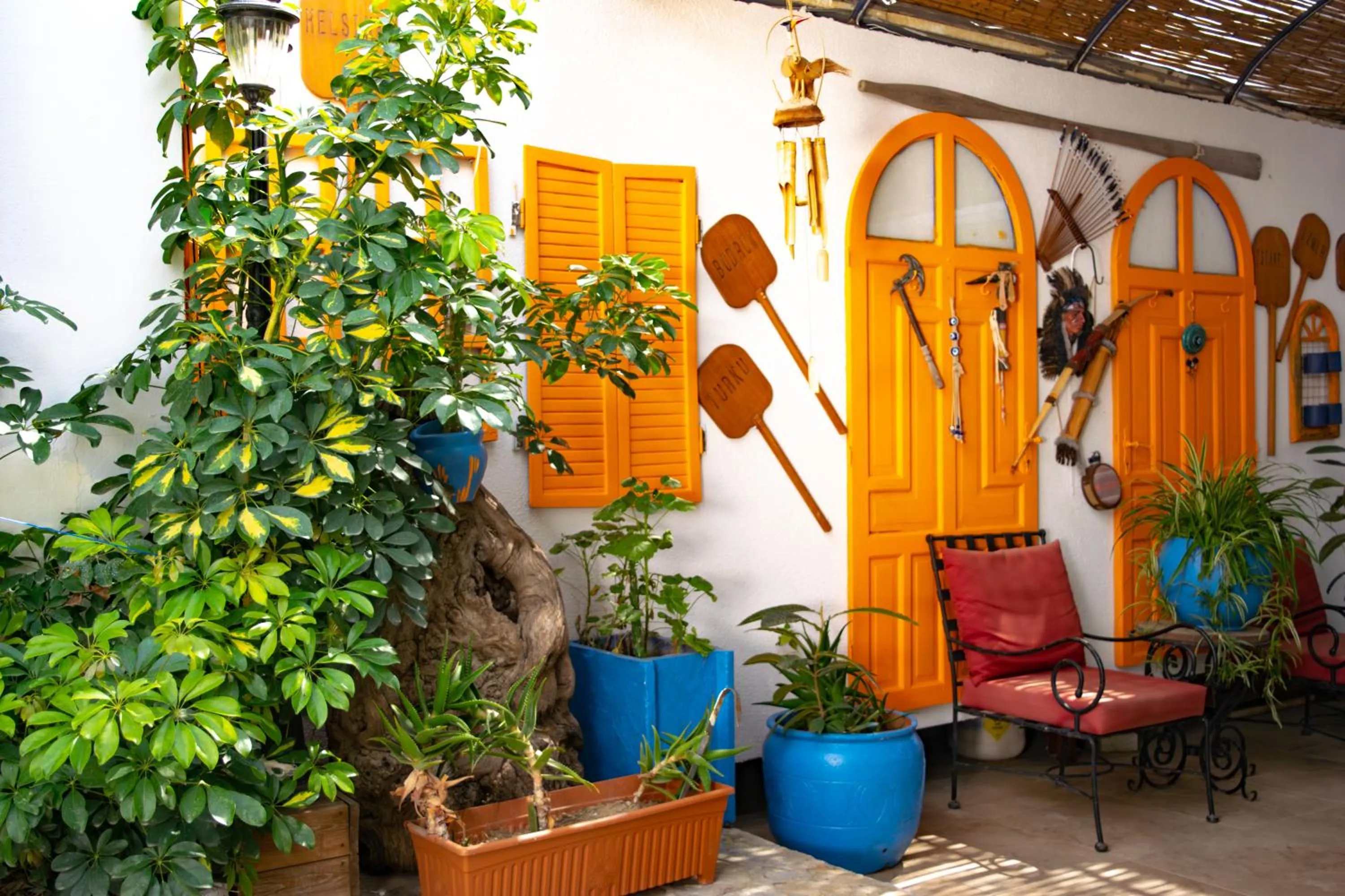 Garden in Akkan Beach Hotel