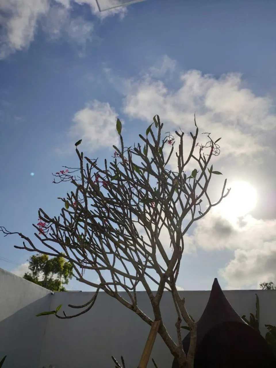 Day in Villa Maitreya