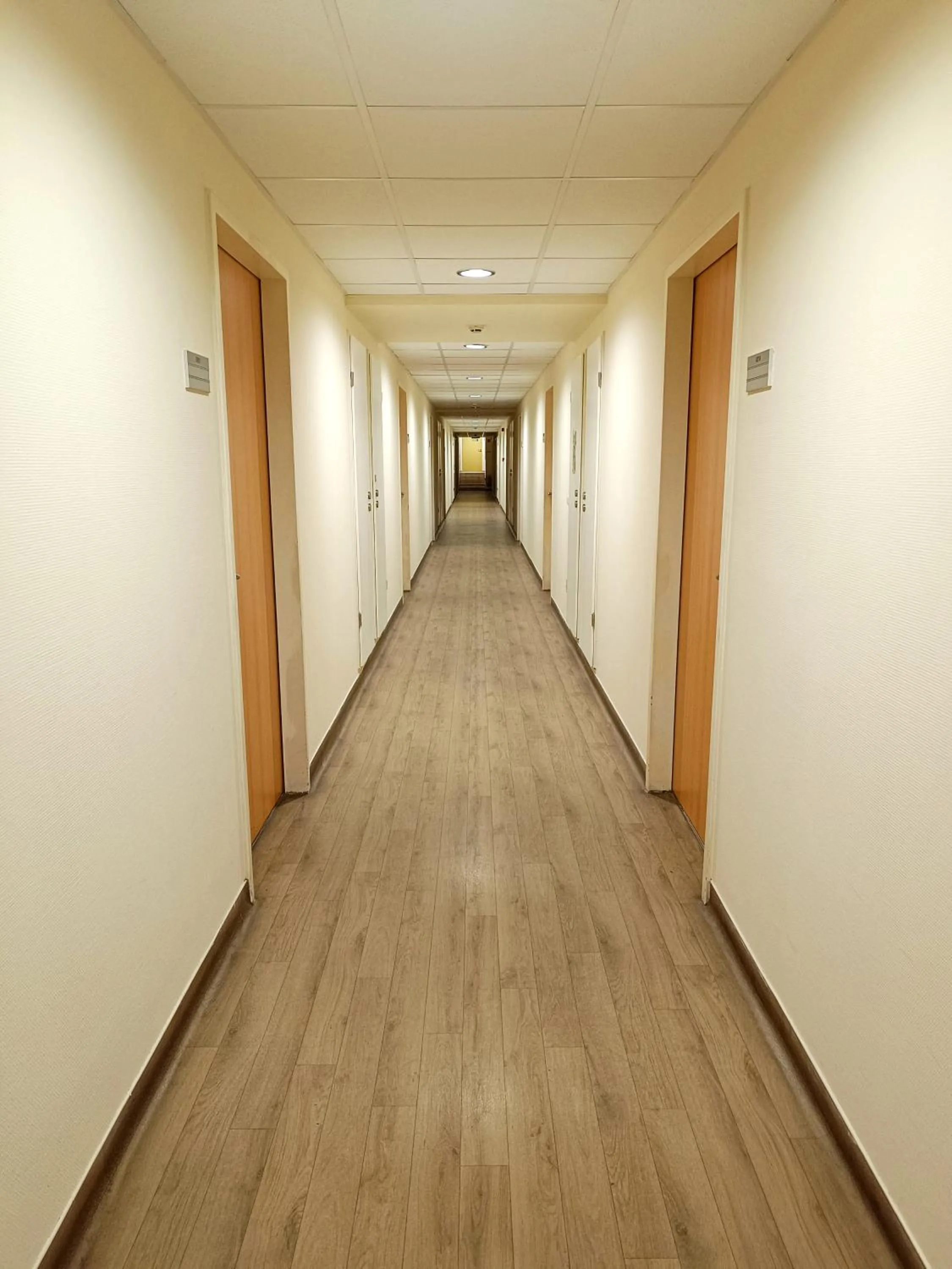 Decorative detail in Famulus Kollégium