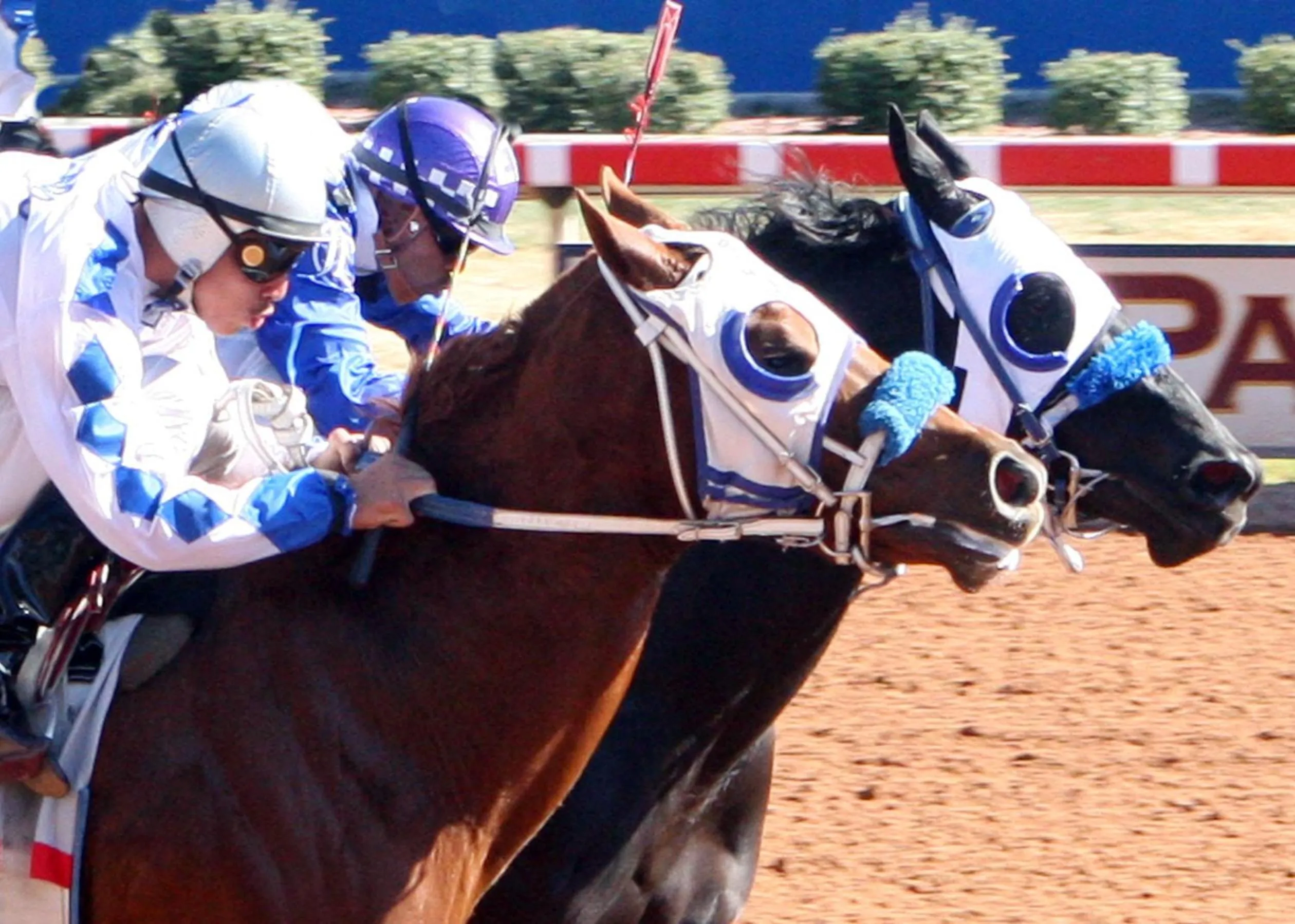 On site in Zia Park Casino, Hotel, & Racetrack