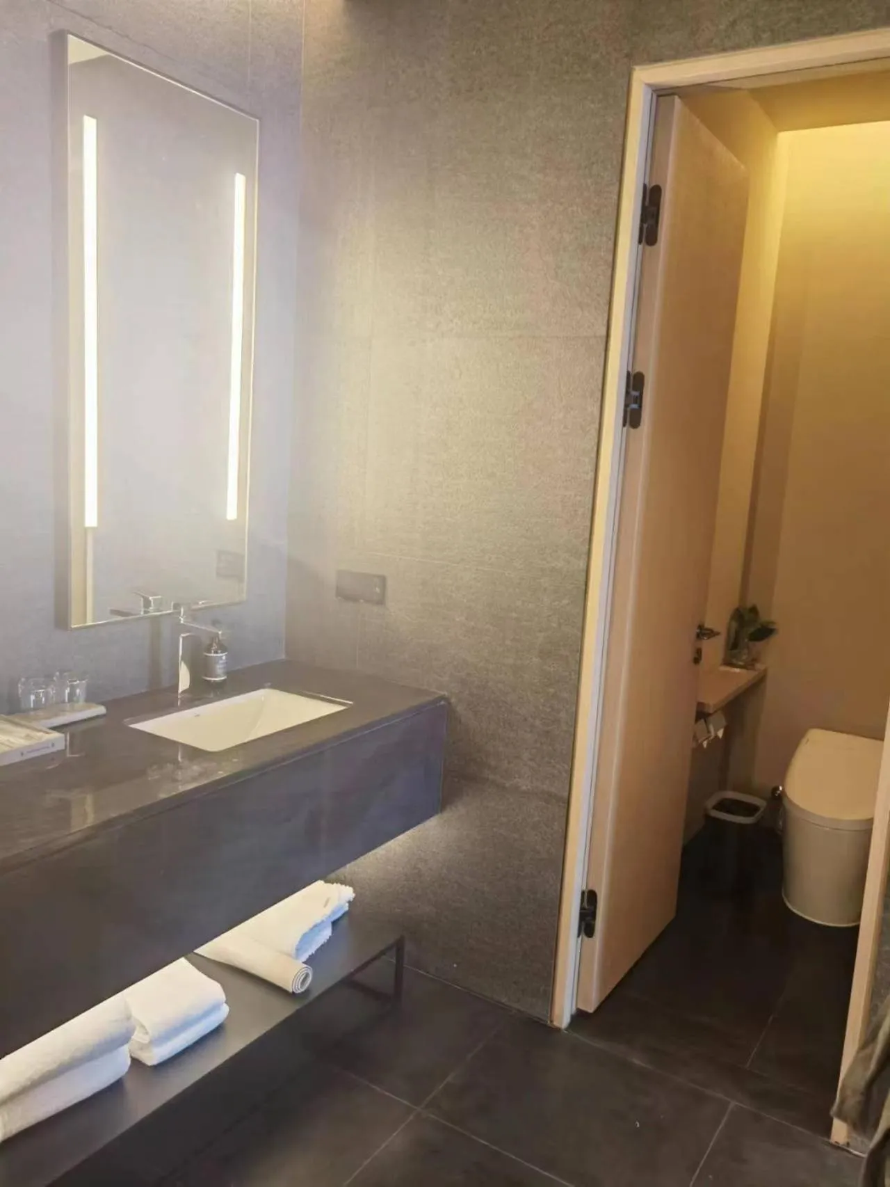 Toilet in Jiangnan House Chaozhou