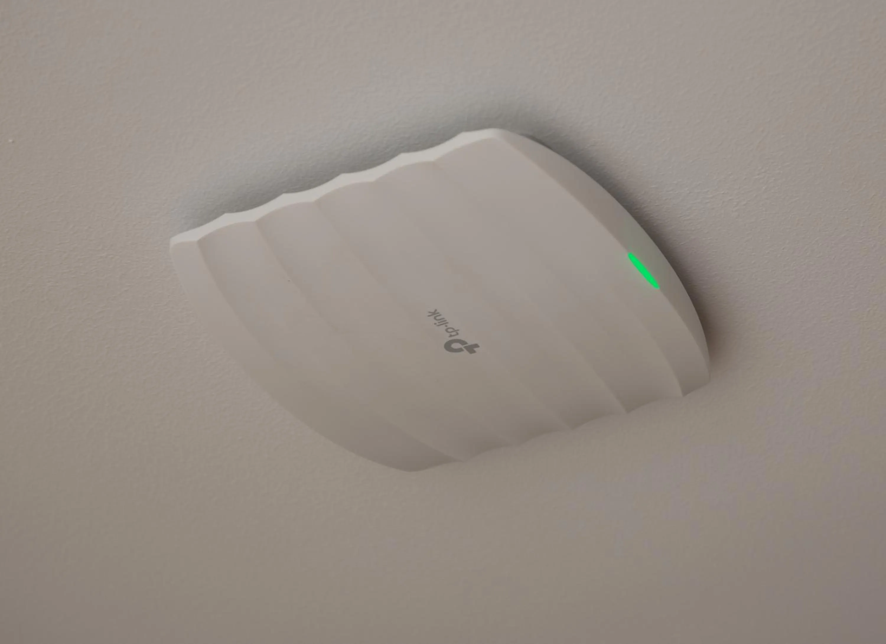 Other in SUPREME STAY