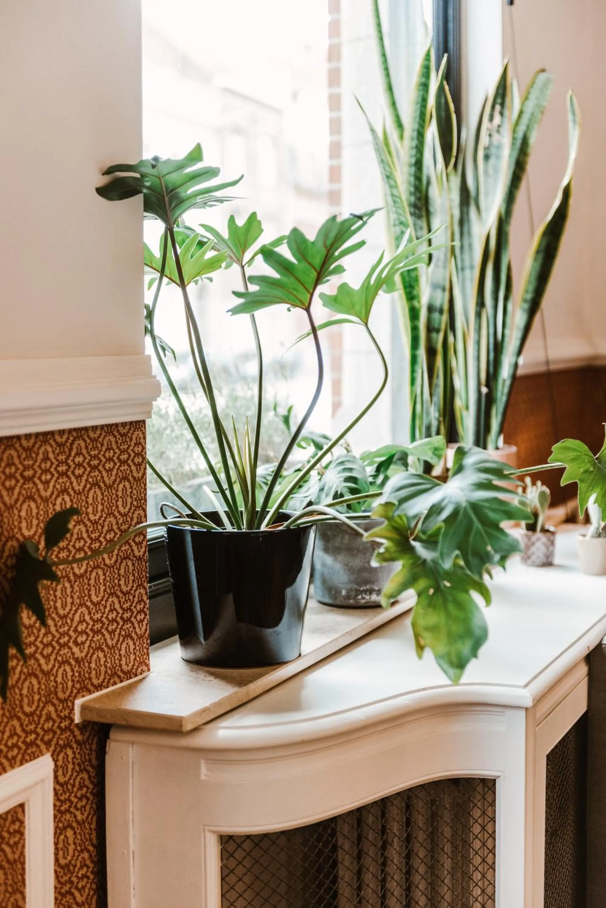 Boutique Hotel Marie Marie