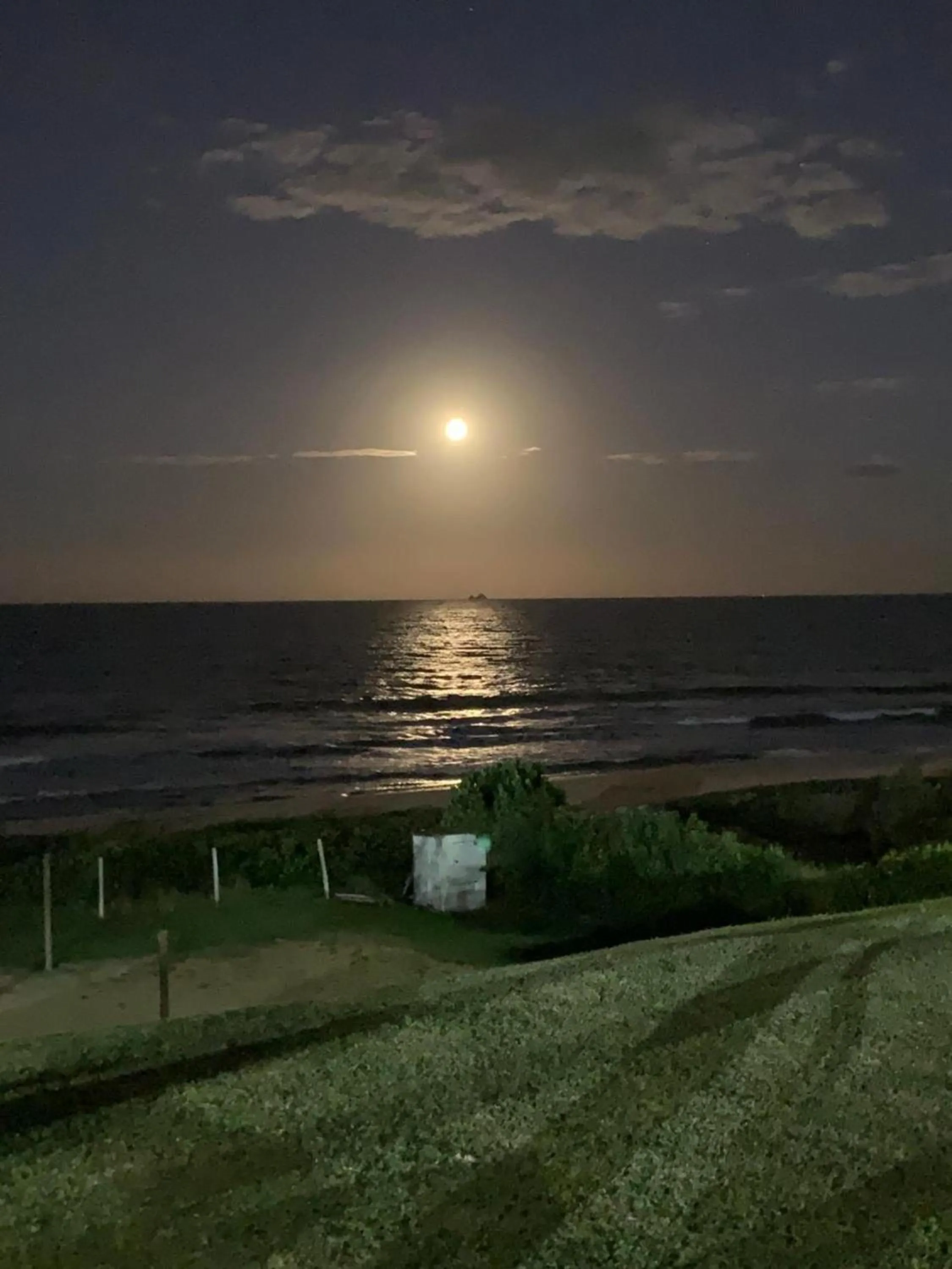 Night in Flamboyant Hotel