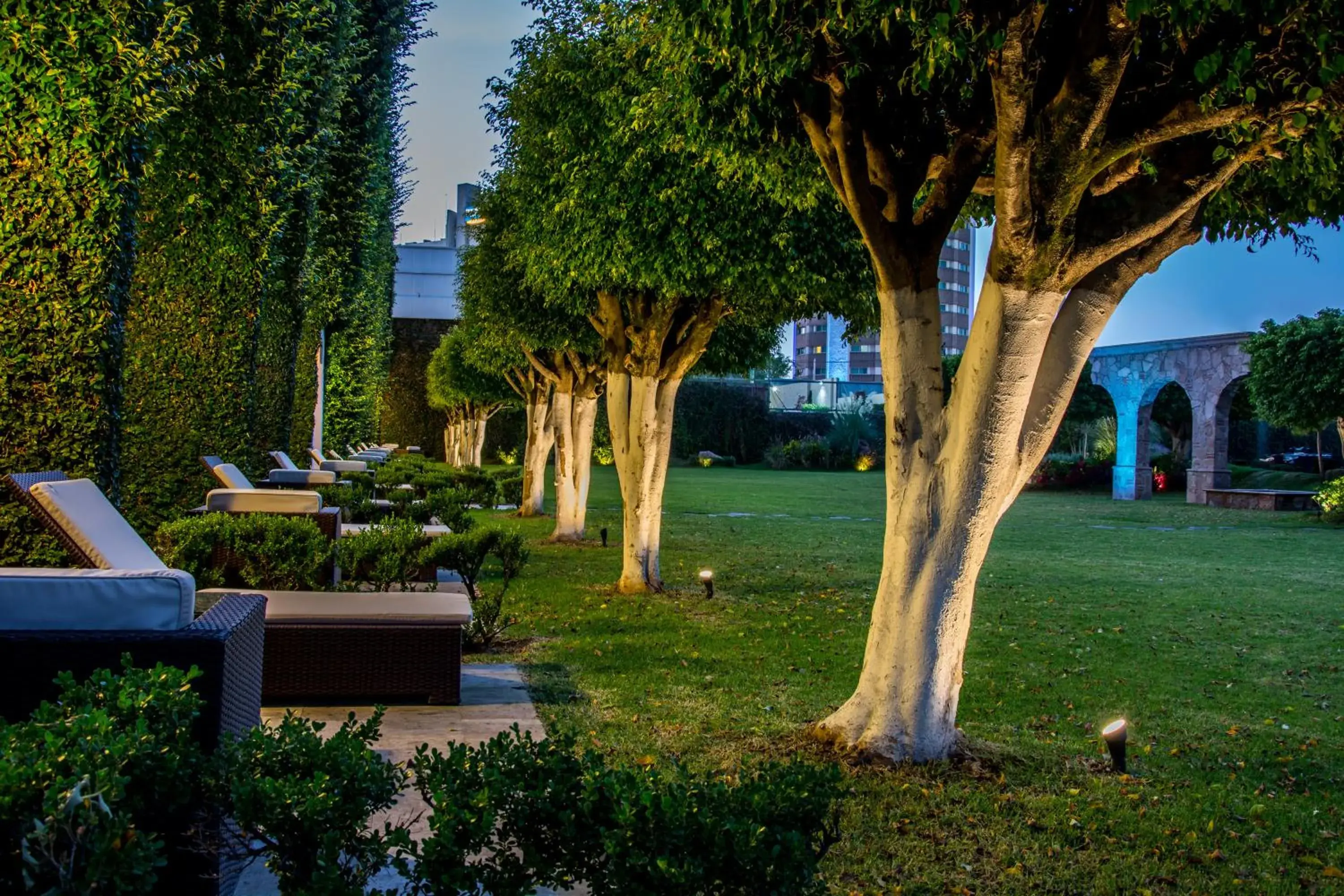 Garden in Hotel Estancia Business Class Garden in Hotel Estancia Business Class