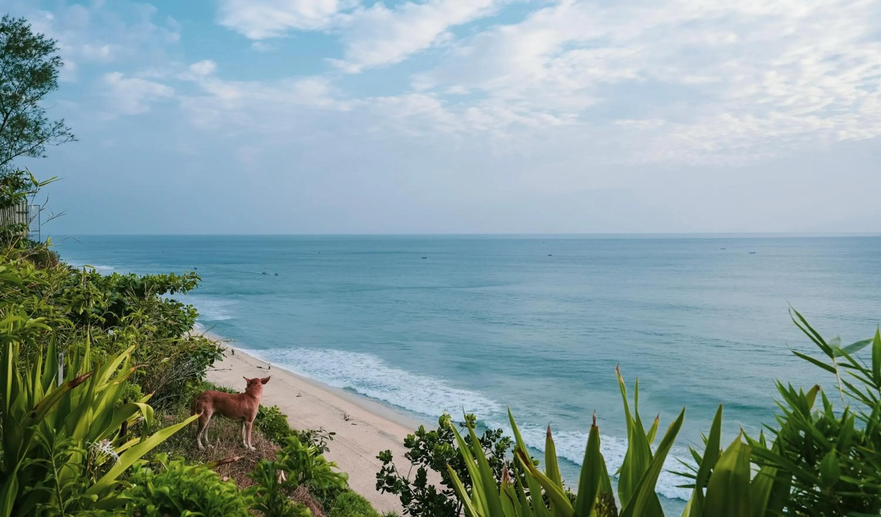 Nearby landmark in Nidra by Sarwaa