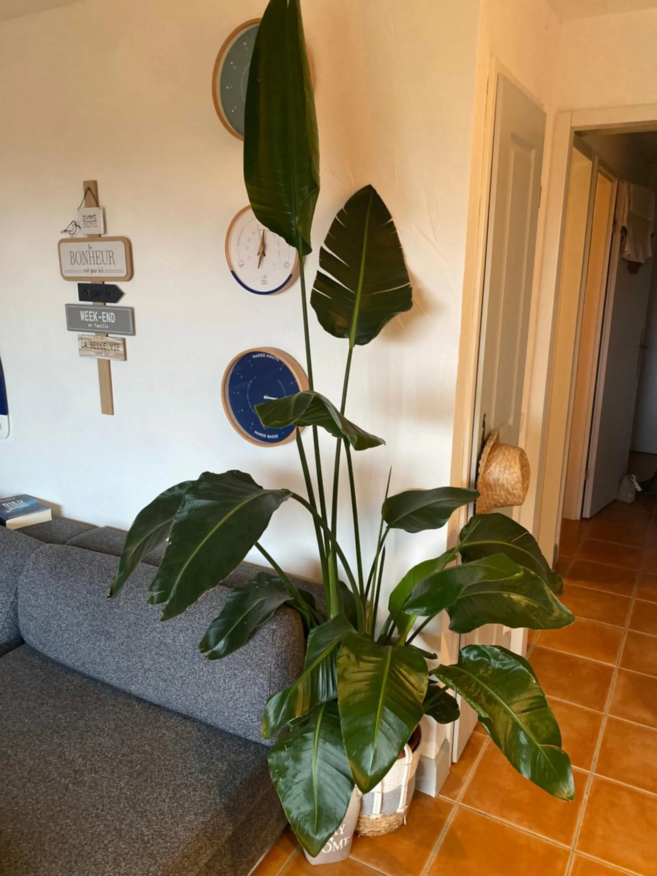 Weekends & Vacances La Ciotat