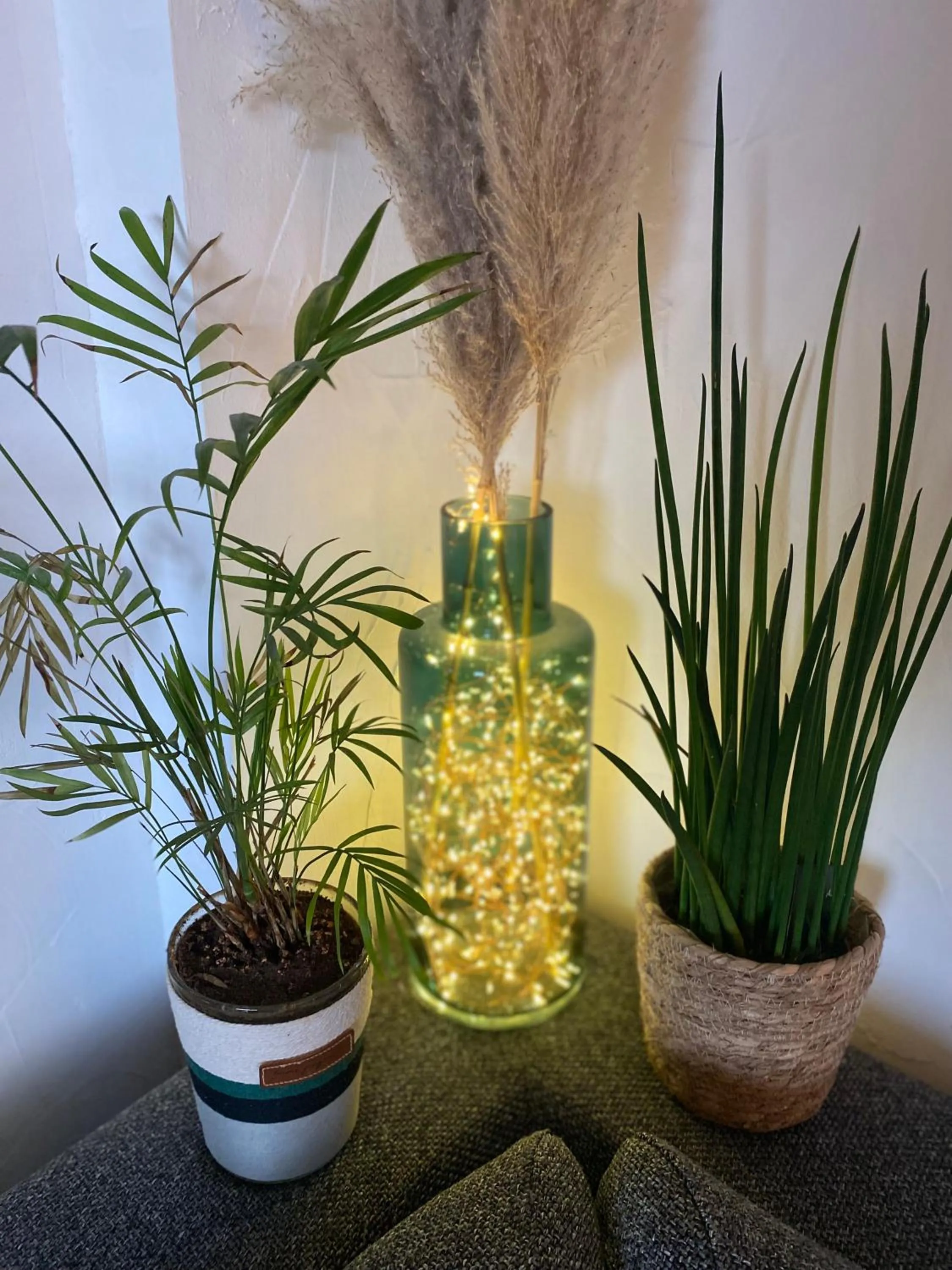 Weekends & Vacances La Ciotat