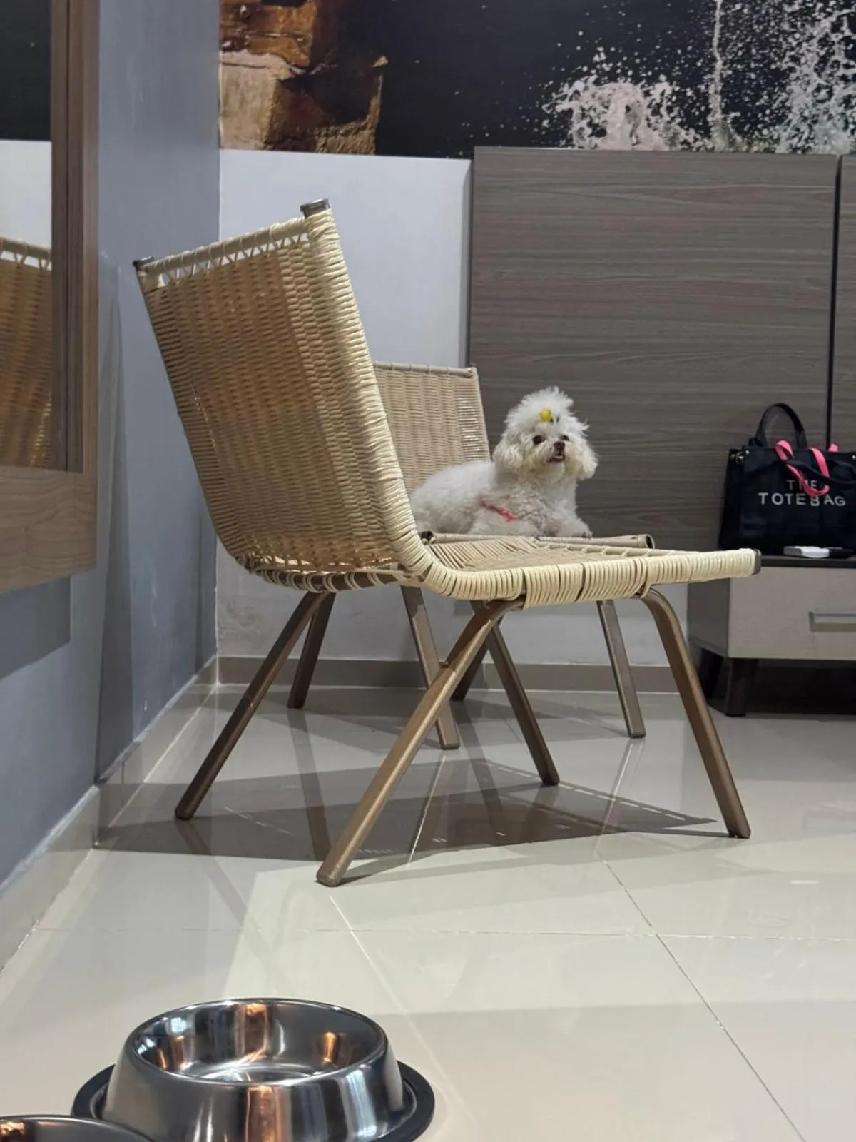 Property building in Hotel Santa Clara Boutique