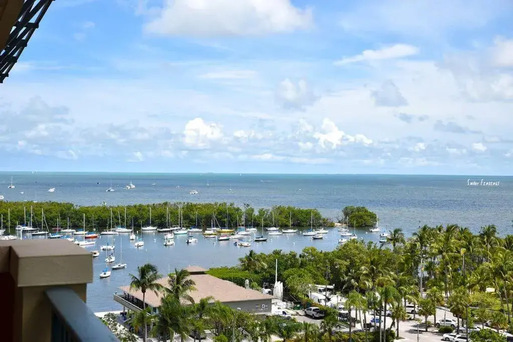 Ocean View 2bd2bth Hotel In Coconut Grove Ocean View 2bd2bth Hotel In Coconut Grove