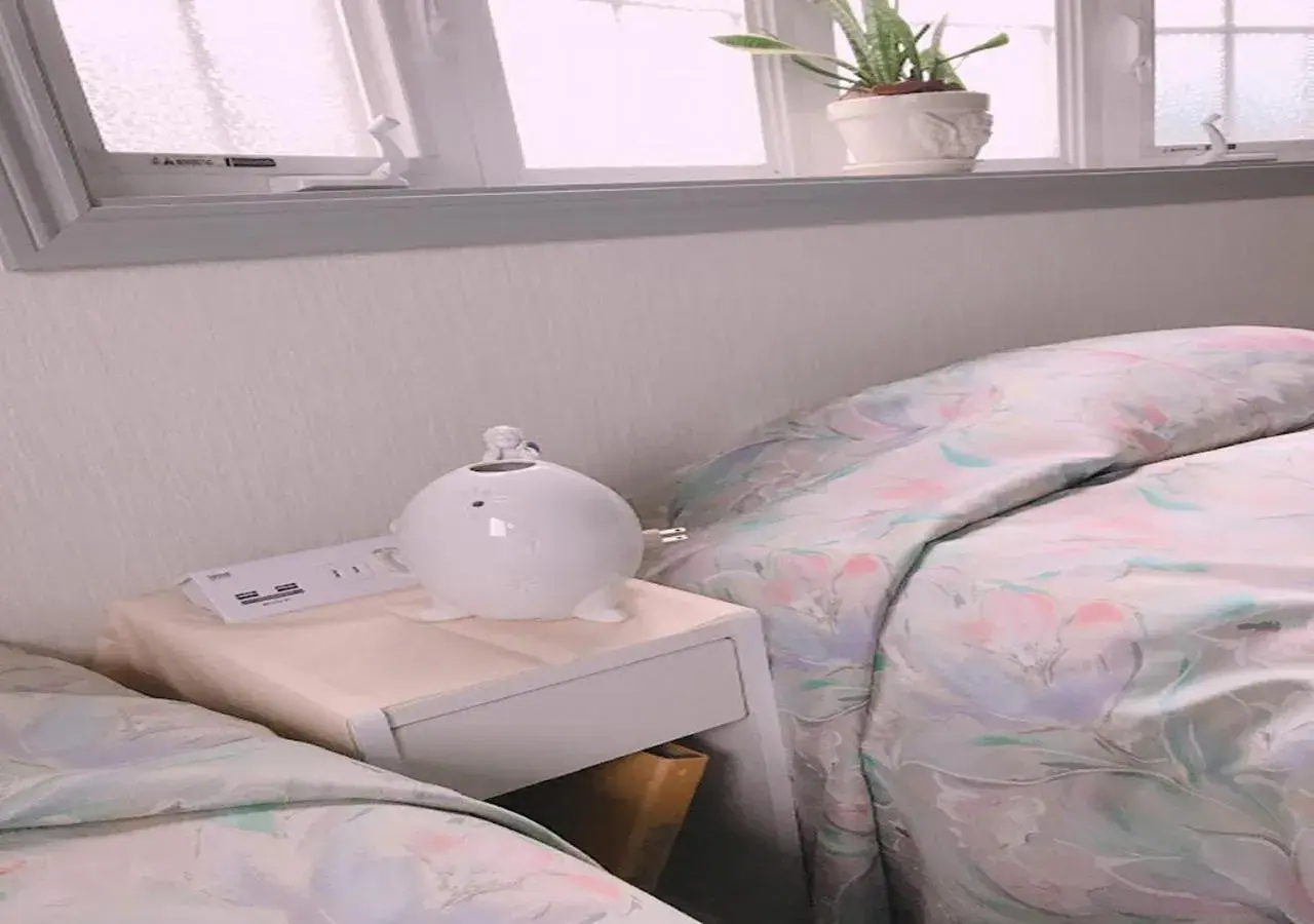 Twin Room in Tenshino Iruka Twin Room in Tenshino Iruka