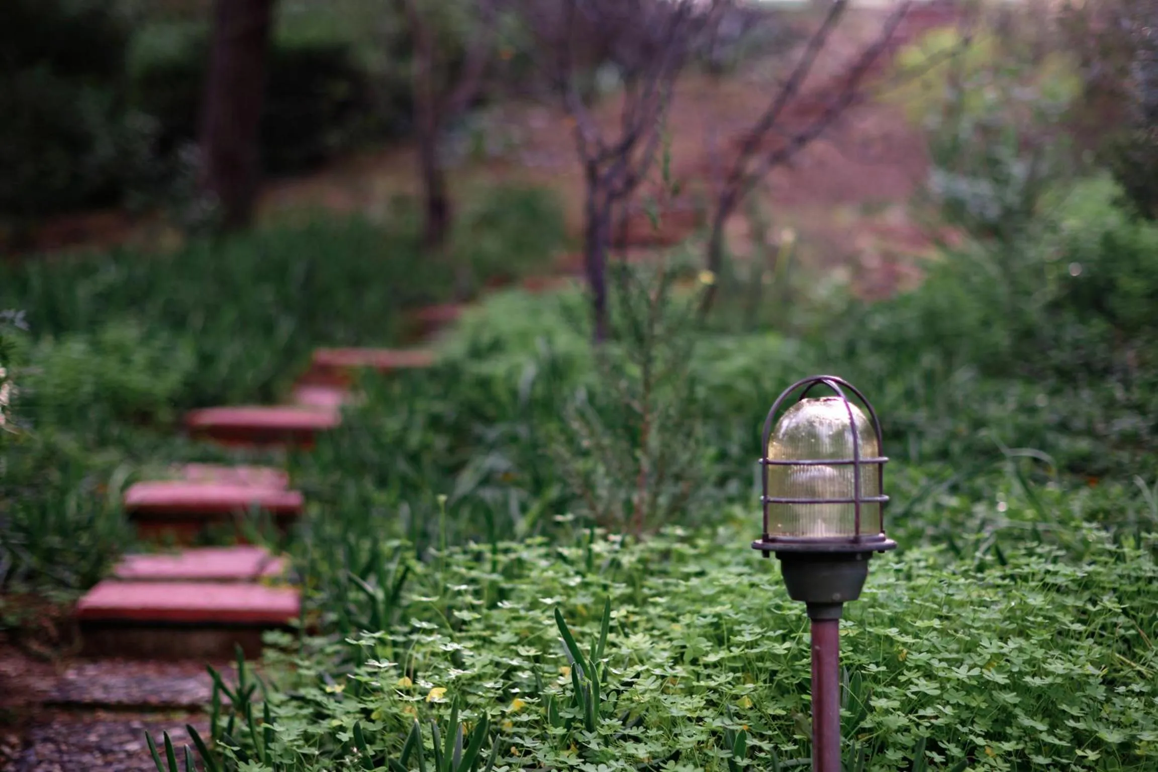 Garden in Villa Irini