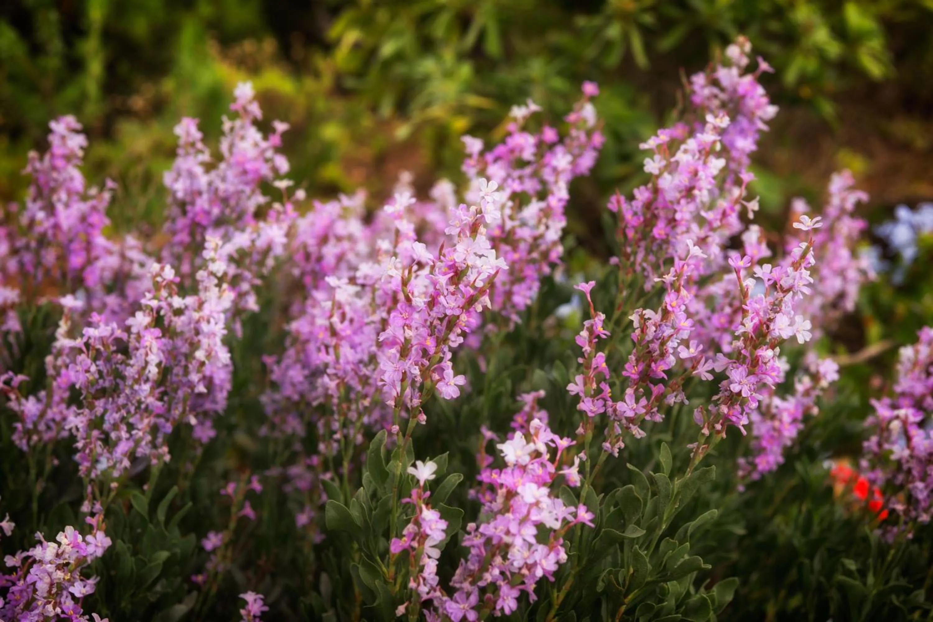 Spring in Villa Irini