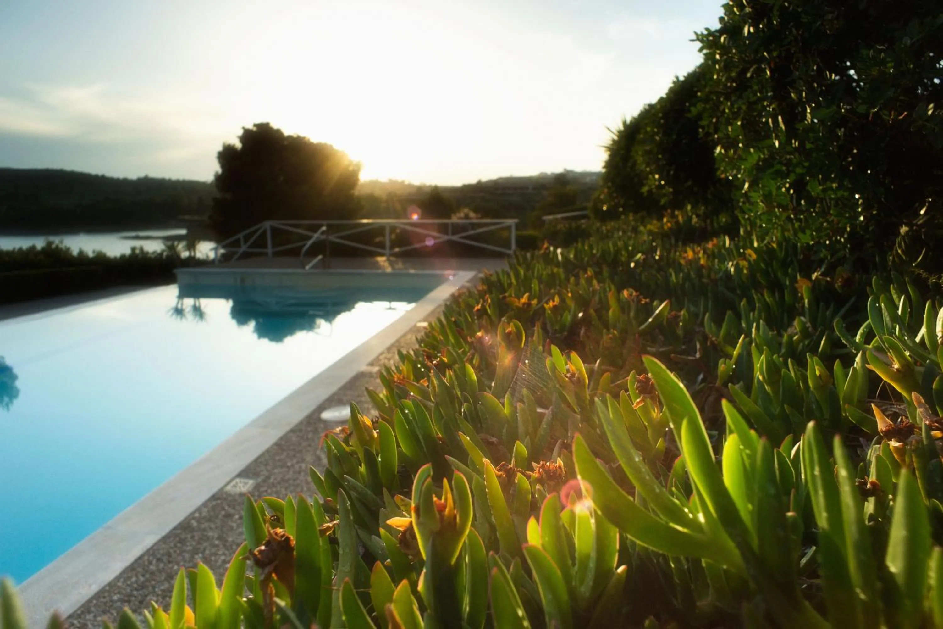 Garden in Villa Irini