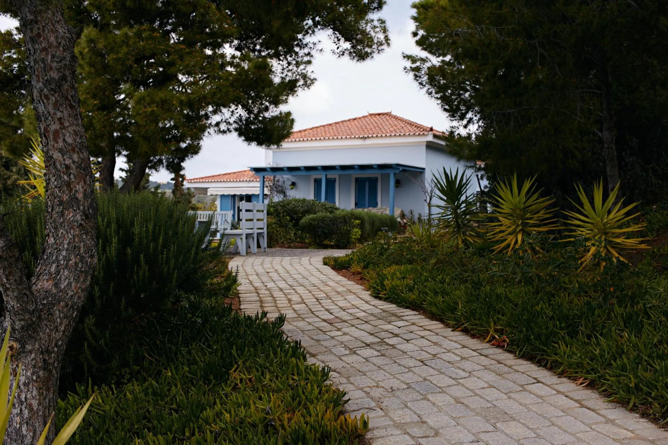 Garden in Villa Irini