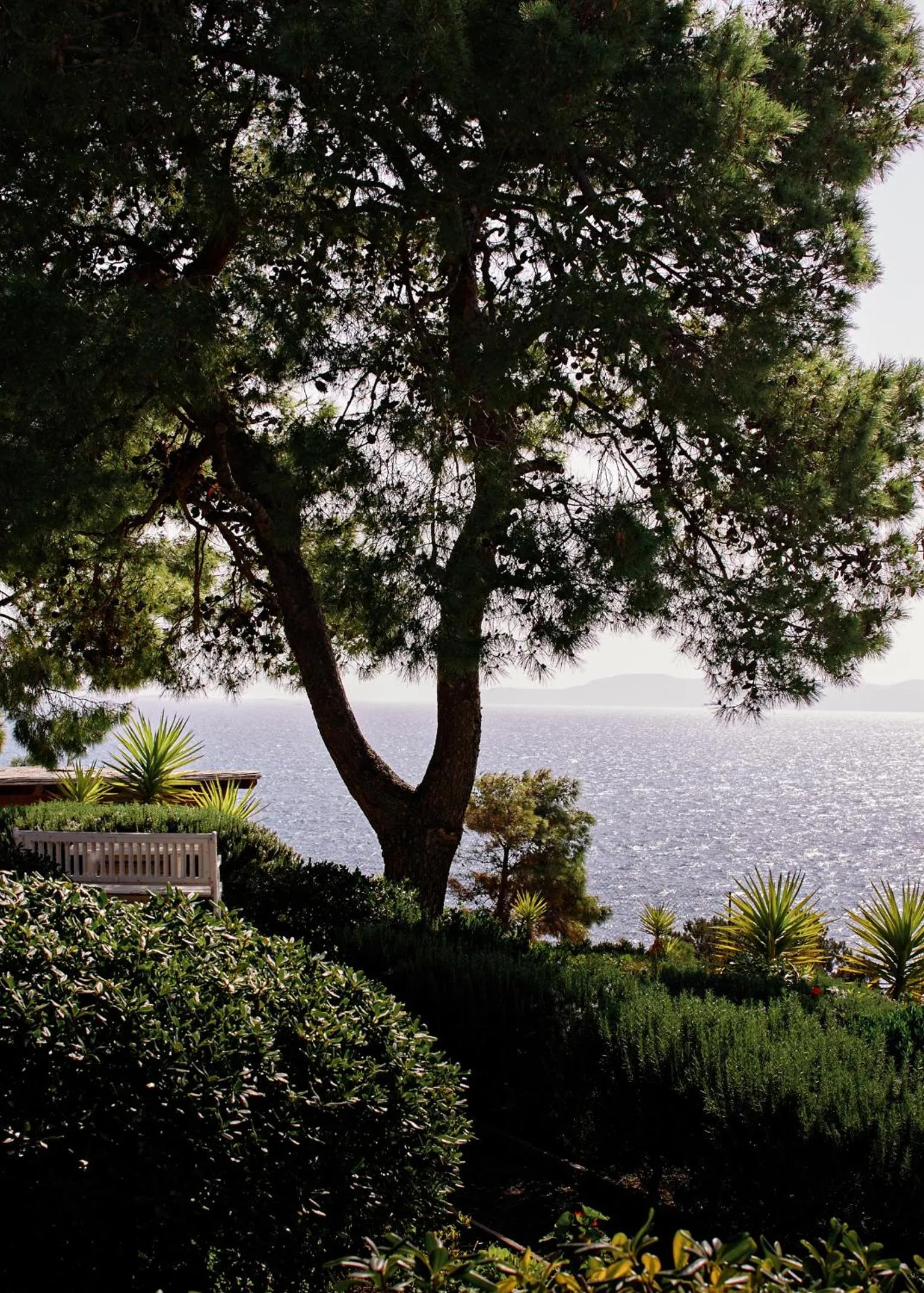 Garden in Villa Irini