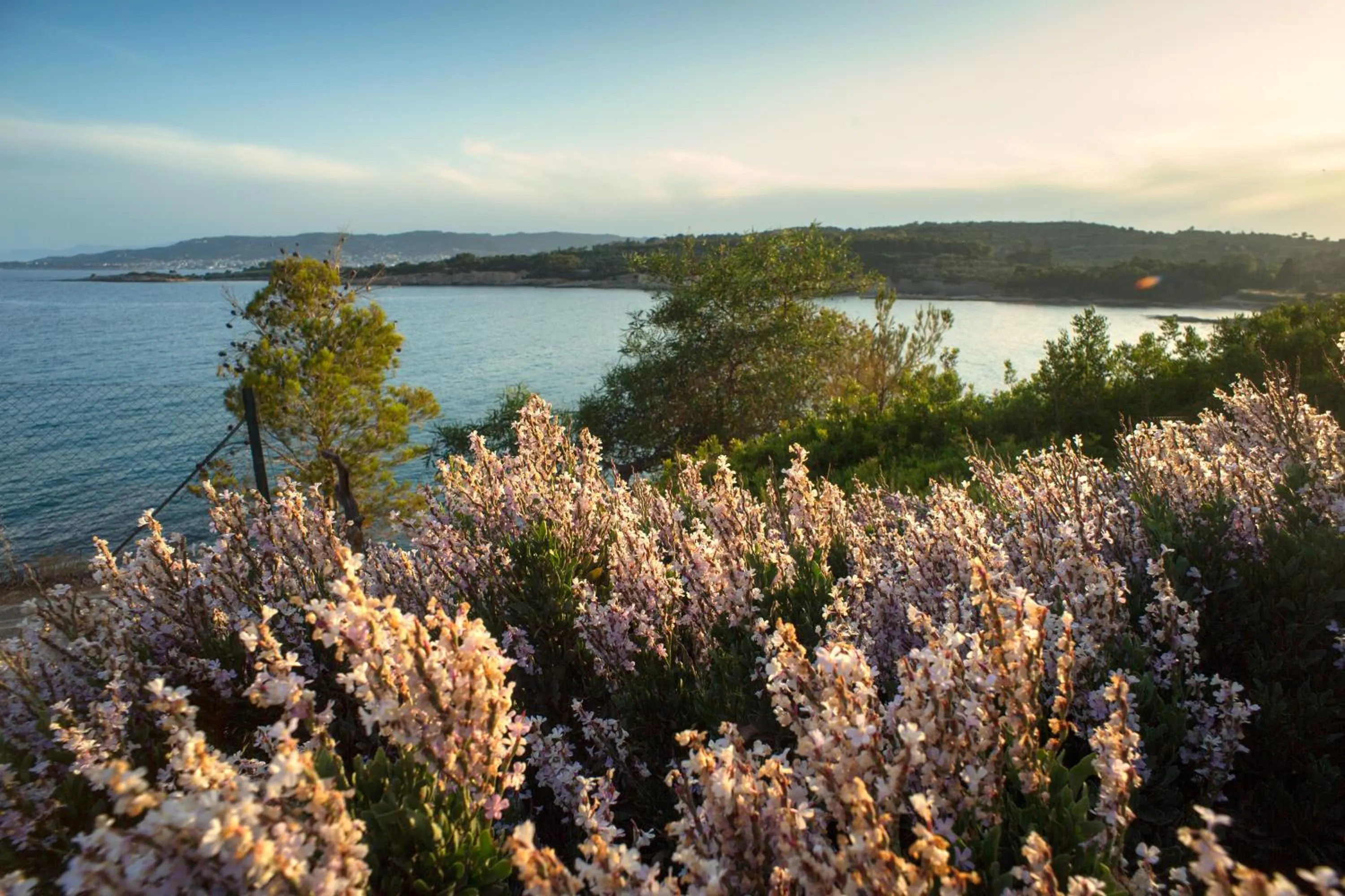Spring in Villa Irini