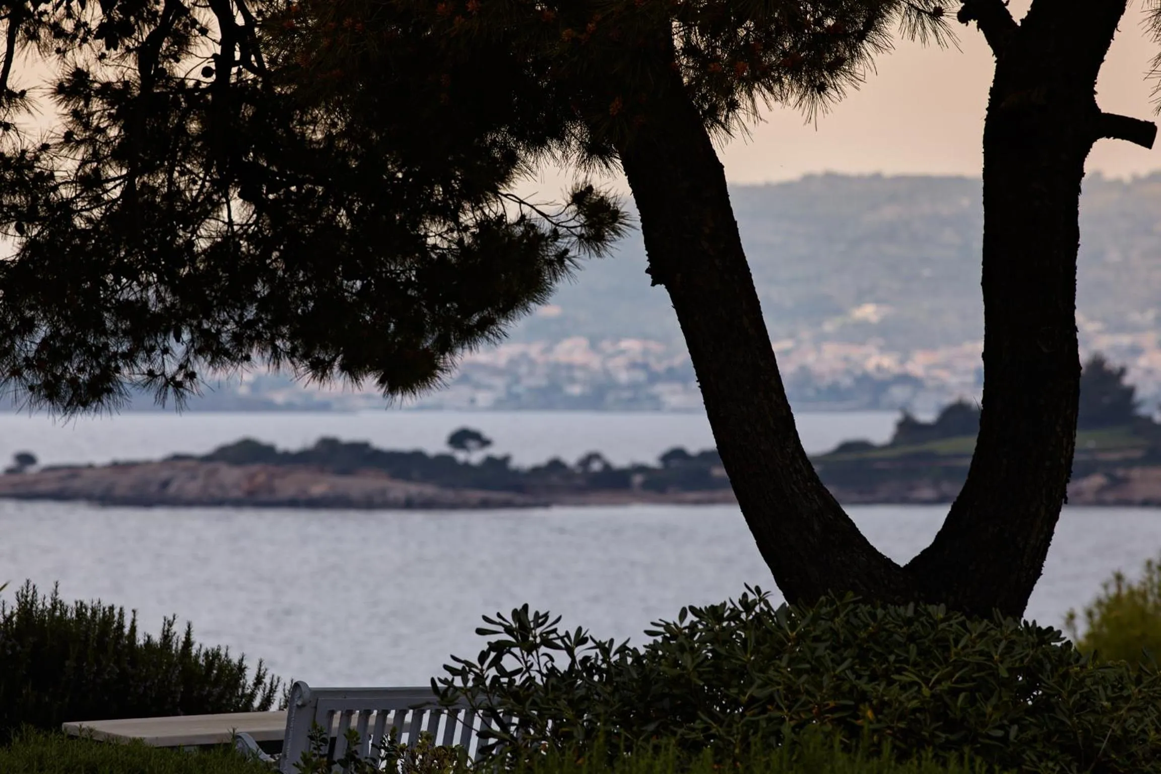 Garden in Villa Irini