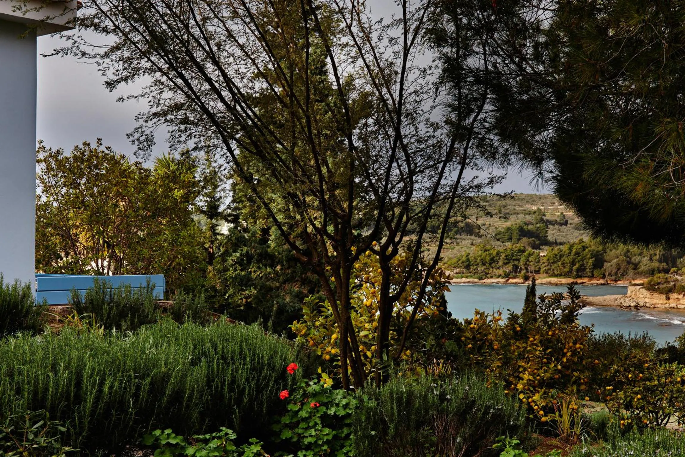 Garden in Villa Irini